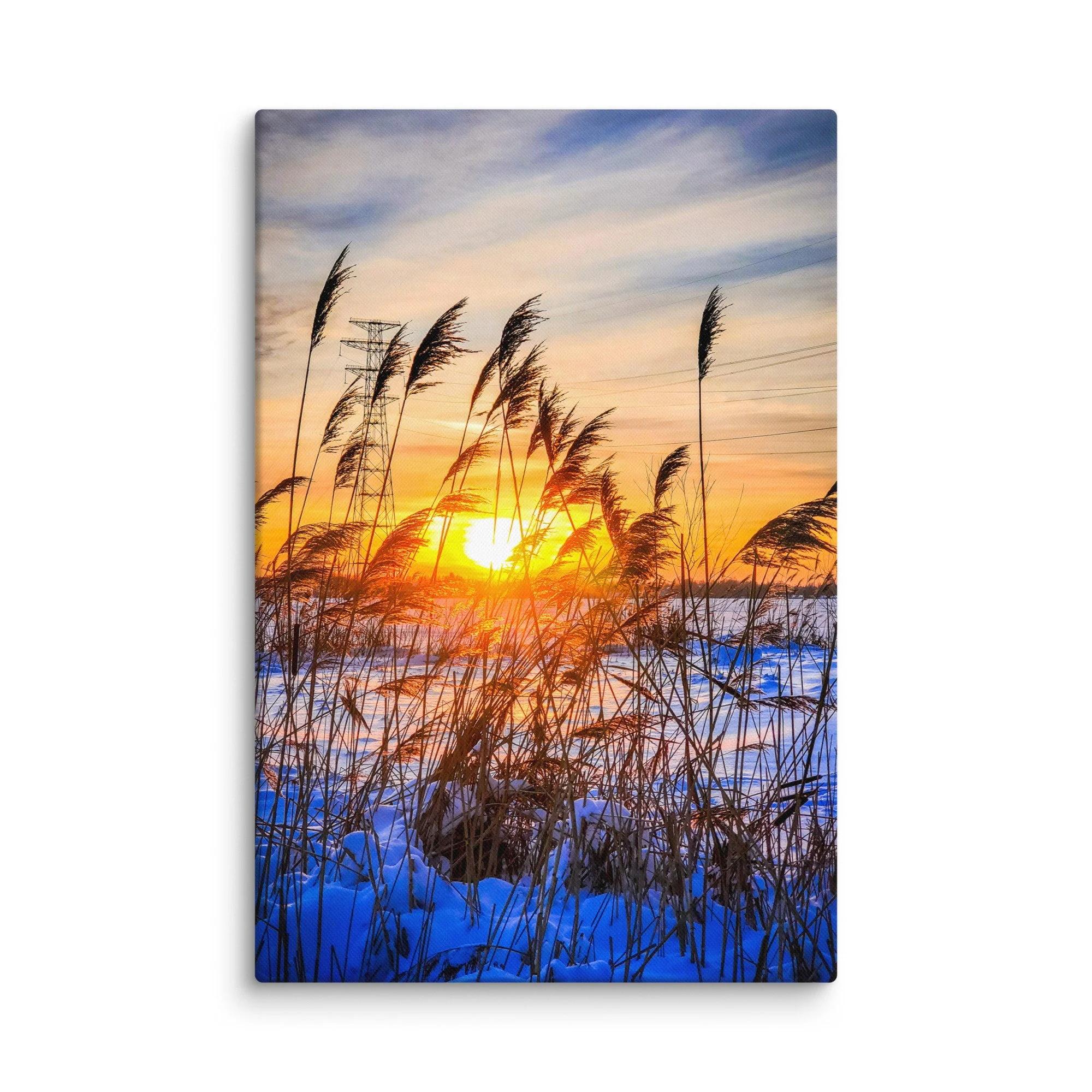 Serene frozen Baltic coast in Latvia with tall reeds in blue snow and golden sunset light – winter travel photography canvas print wall art decor