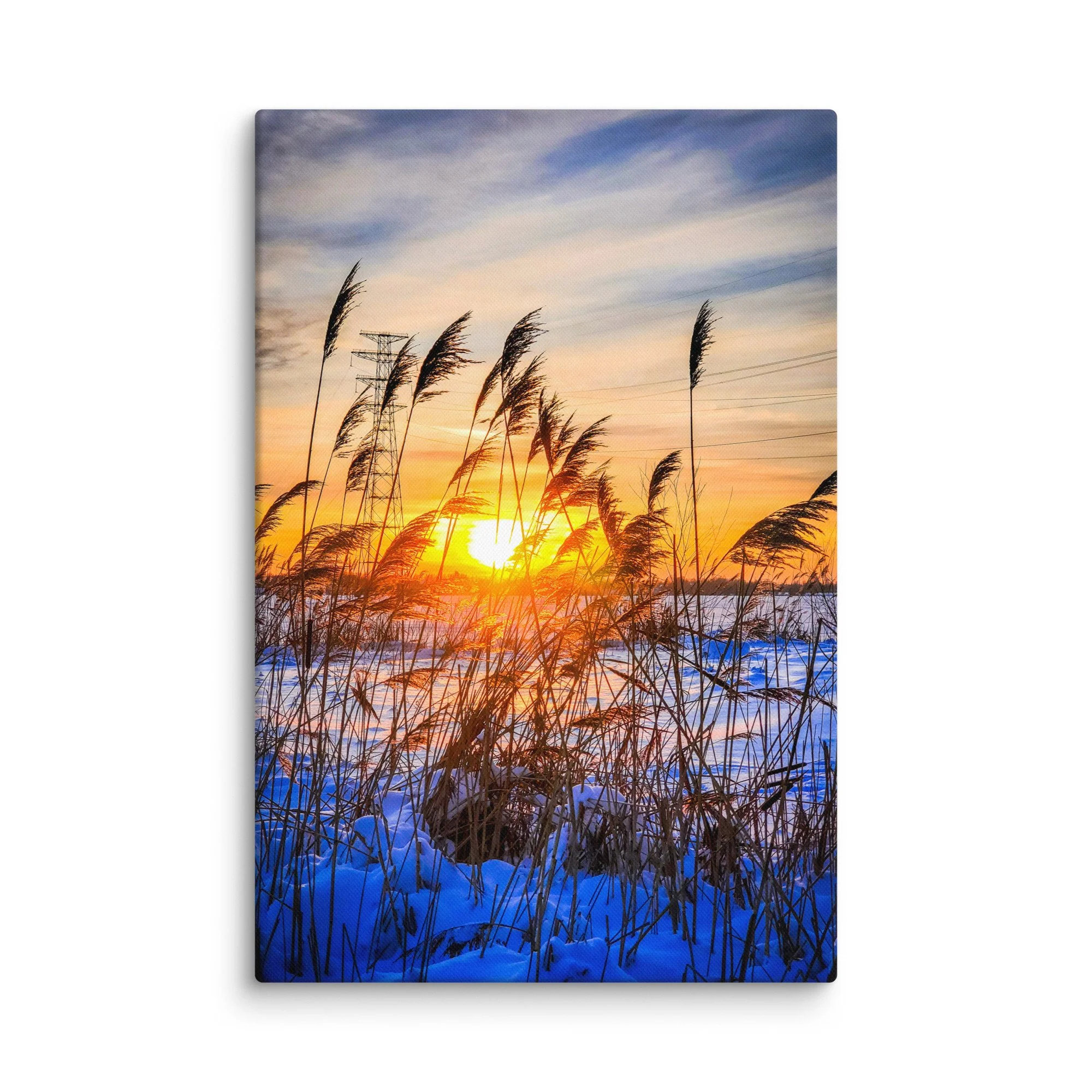 Serene frozen Baltic coast in Latvia with tall reeds in blue snow and golden sunset light – winter travel photography canvas print wall art decor