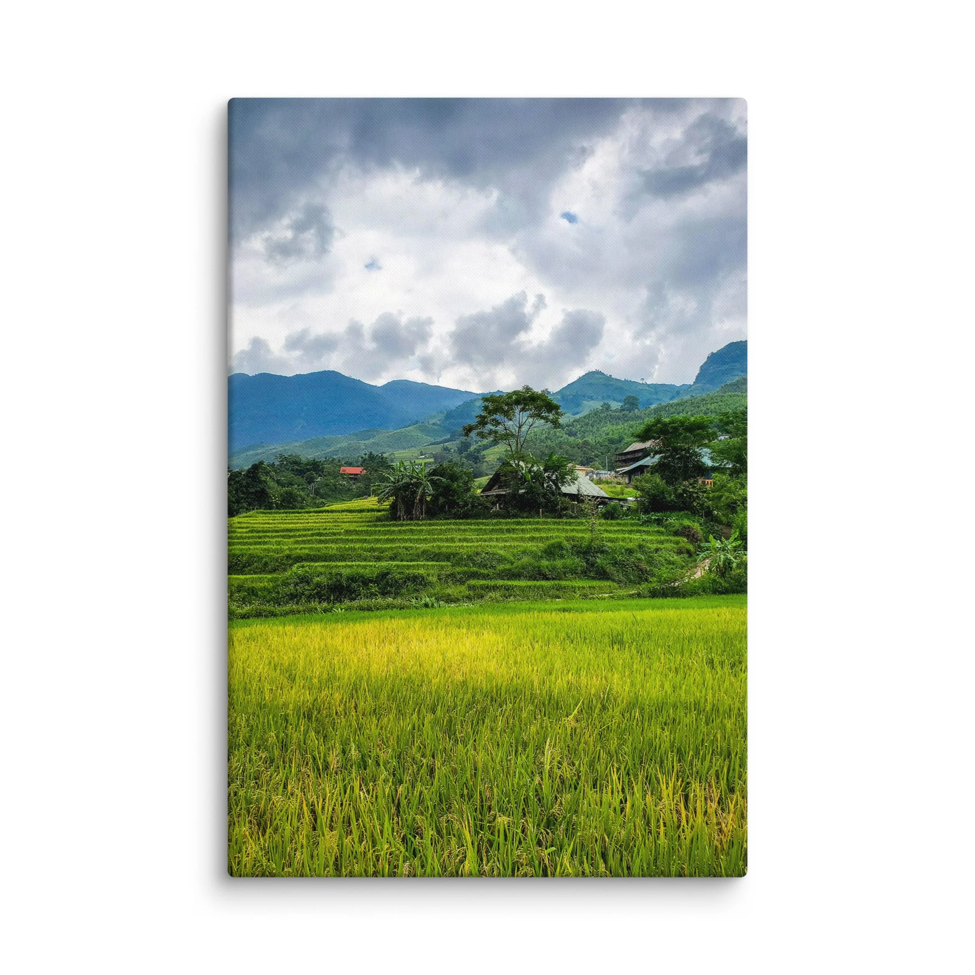 Golden rice terraces in Sapa, Vietnam with misty mountains, stilt houses and dramatic sky – northern highland travel photography canvas print wall art decor