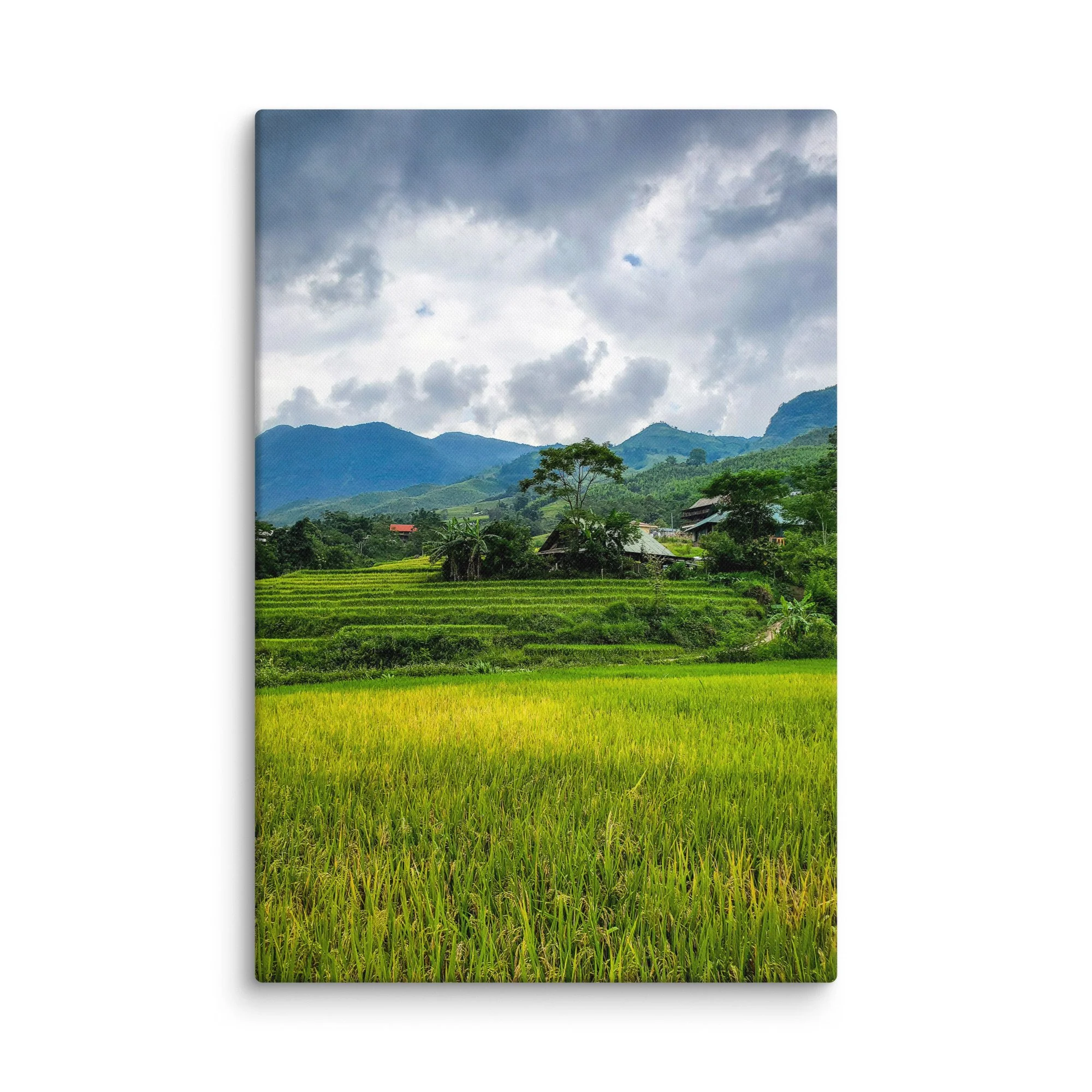 Golden rice terraces in Sapa, Vietnam with misty mountains, stilt houses and dramatic sky – northern highland travel photography canvas print wall art decor
