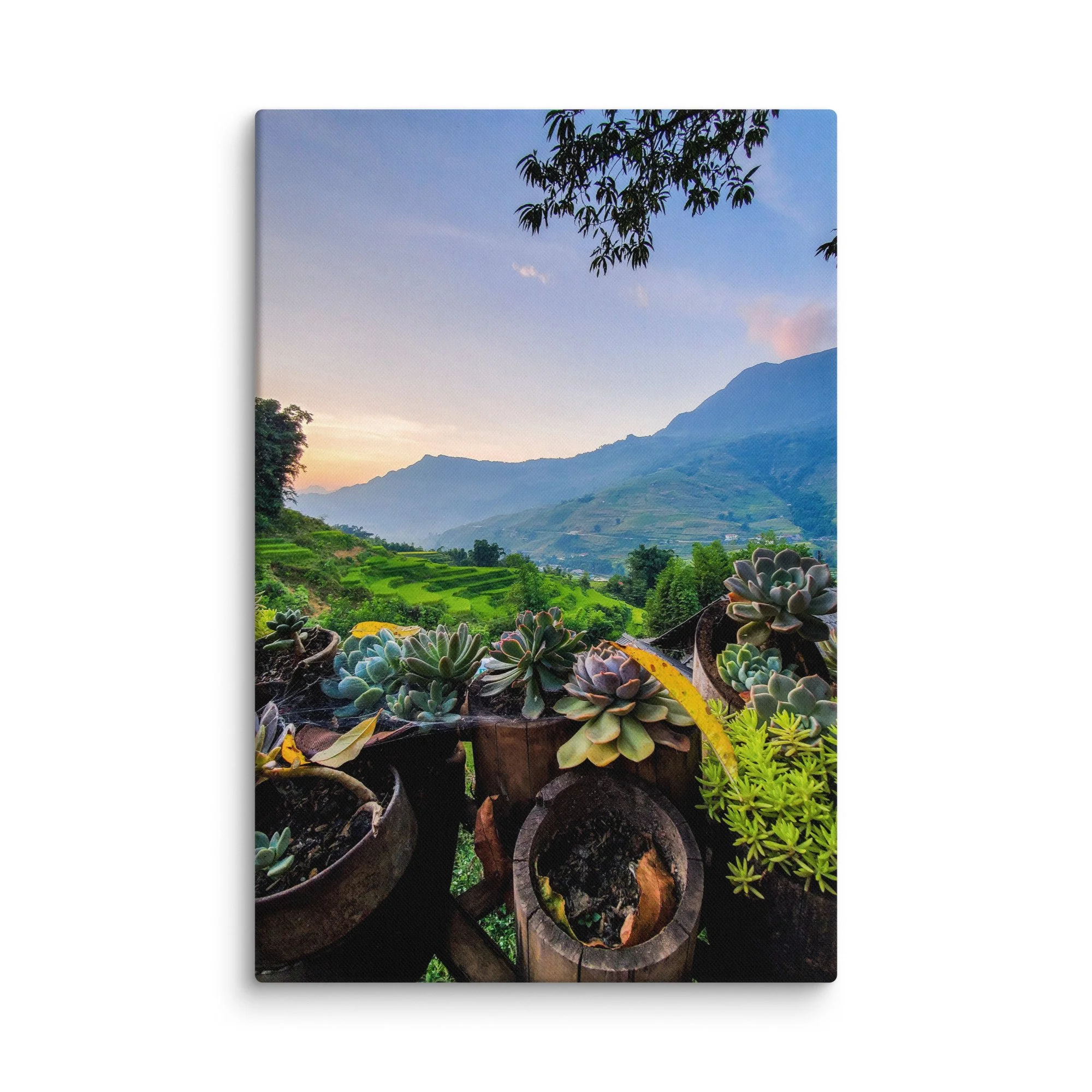 Succulents in wooden pots on balcony overlooking misty rice terraces and mountains in Sapa, Vietnam at sunset – northern highland travel photography canvas print wall art decor