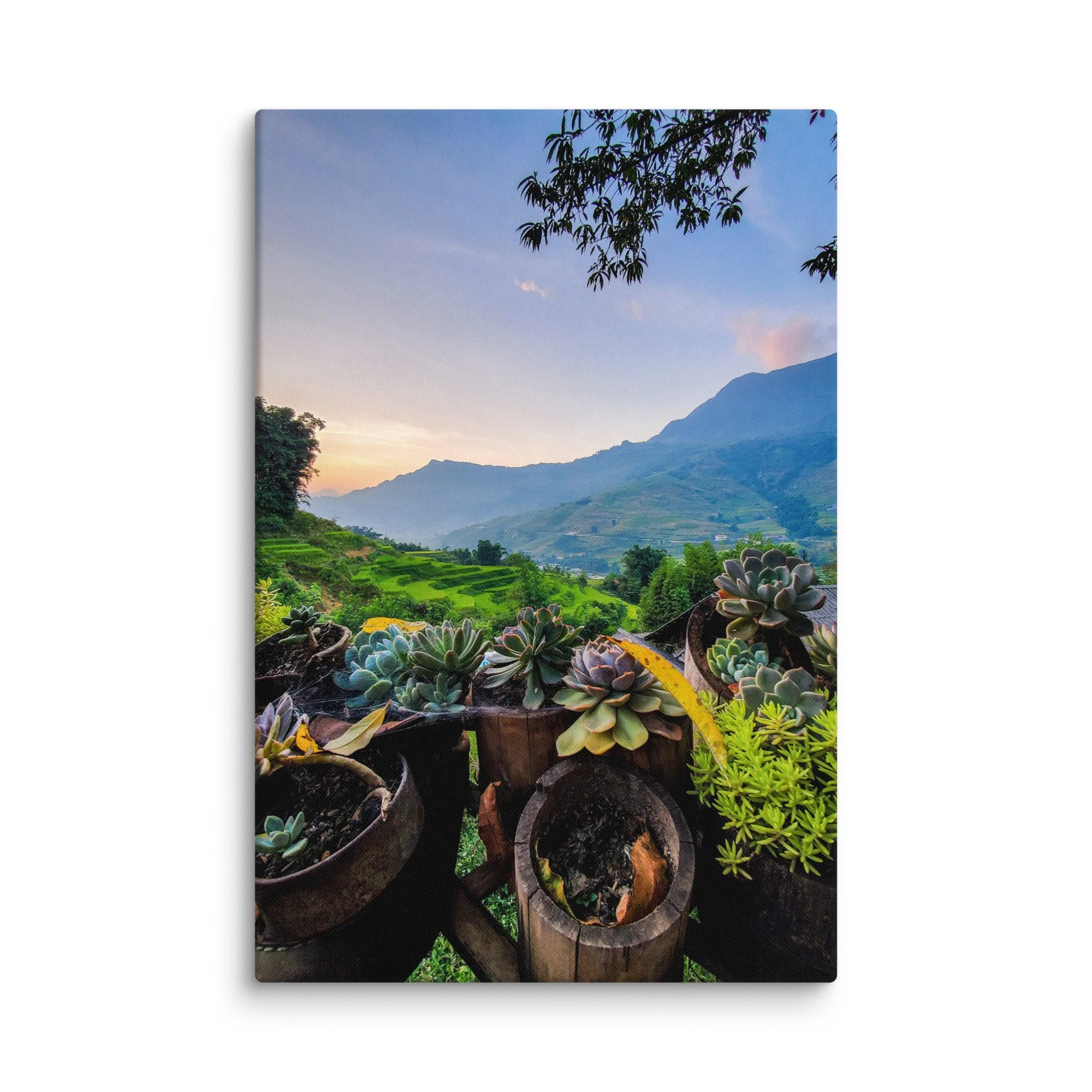 Succulents in wooden pots on balcony overlooking misty rice terraces and mountains in Sapa, Vietnam at sunset – northern highland travel photography canvas print wall art decor