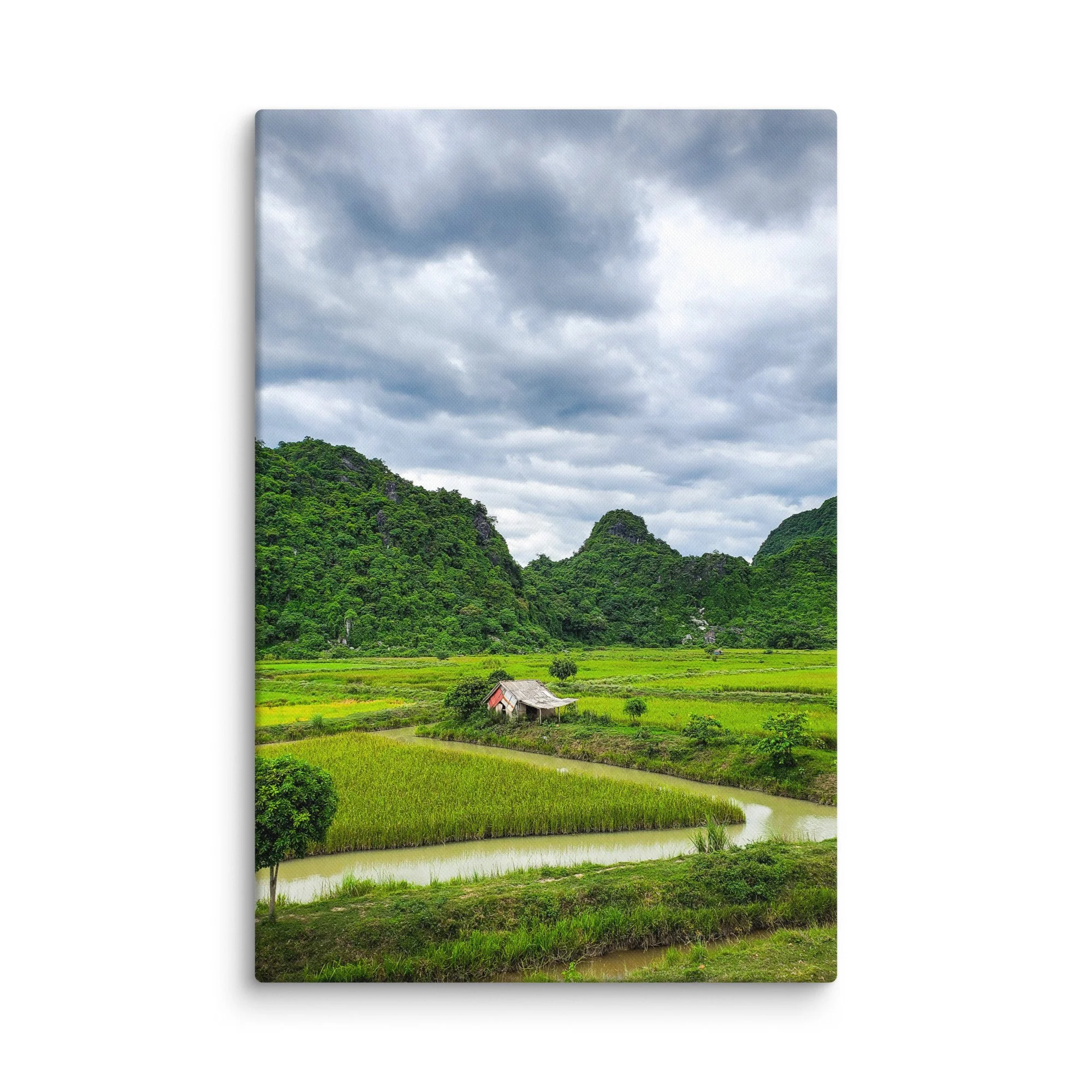 Solitary stilt house in lush green rice paddies surrounded by limestone karst mountains in northern Vietnam (Ninh Bình area) under dramatic sky