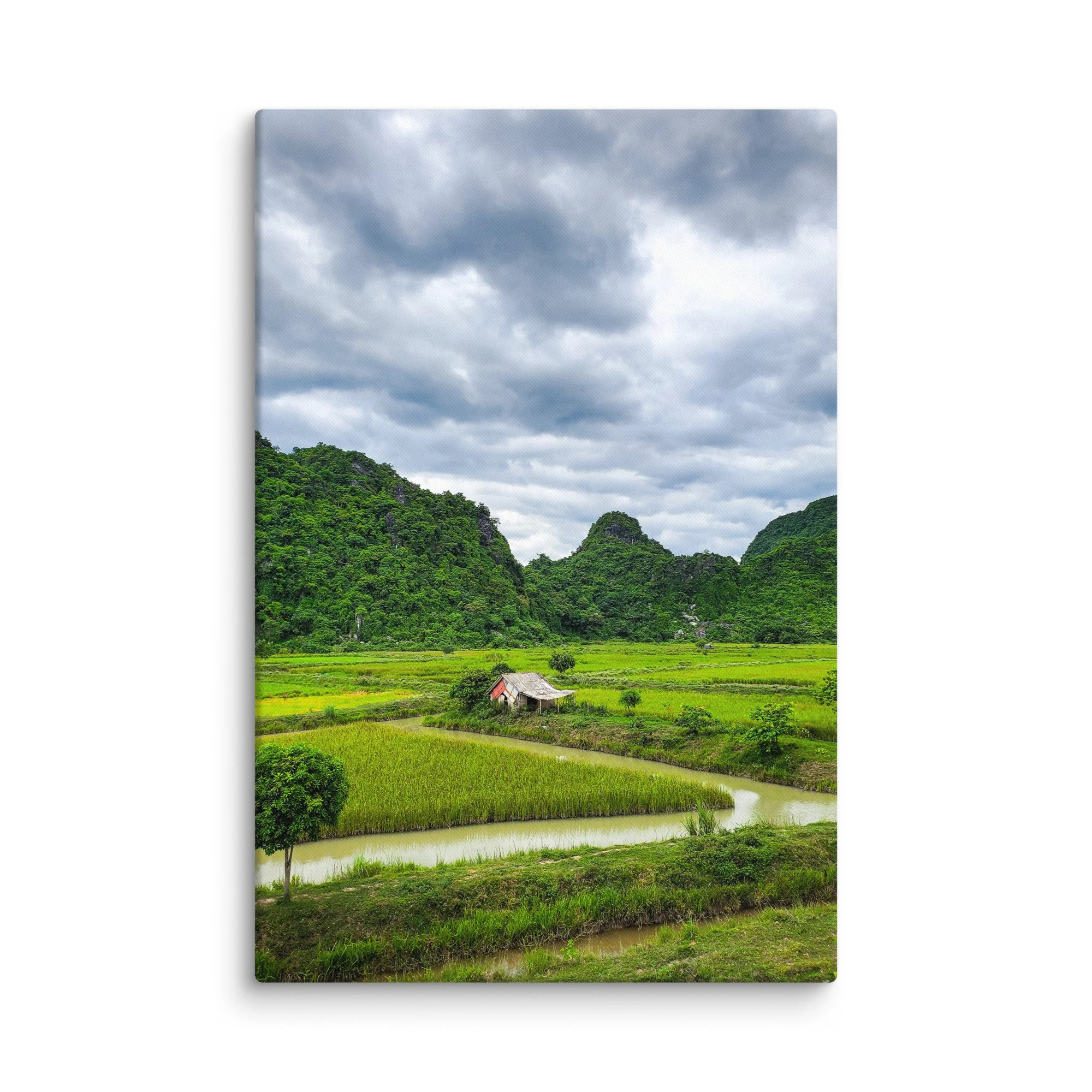 Solitary stilt house in lush green rice paddies surrounded by limestone karst mountains in northern Vietnam (Ninh Bình area) under dramatic sky