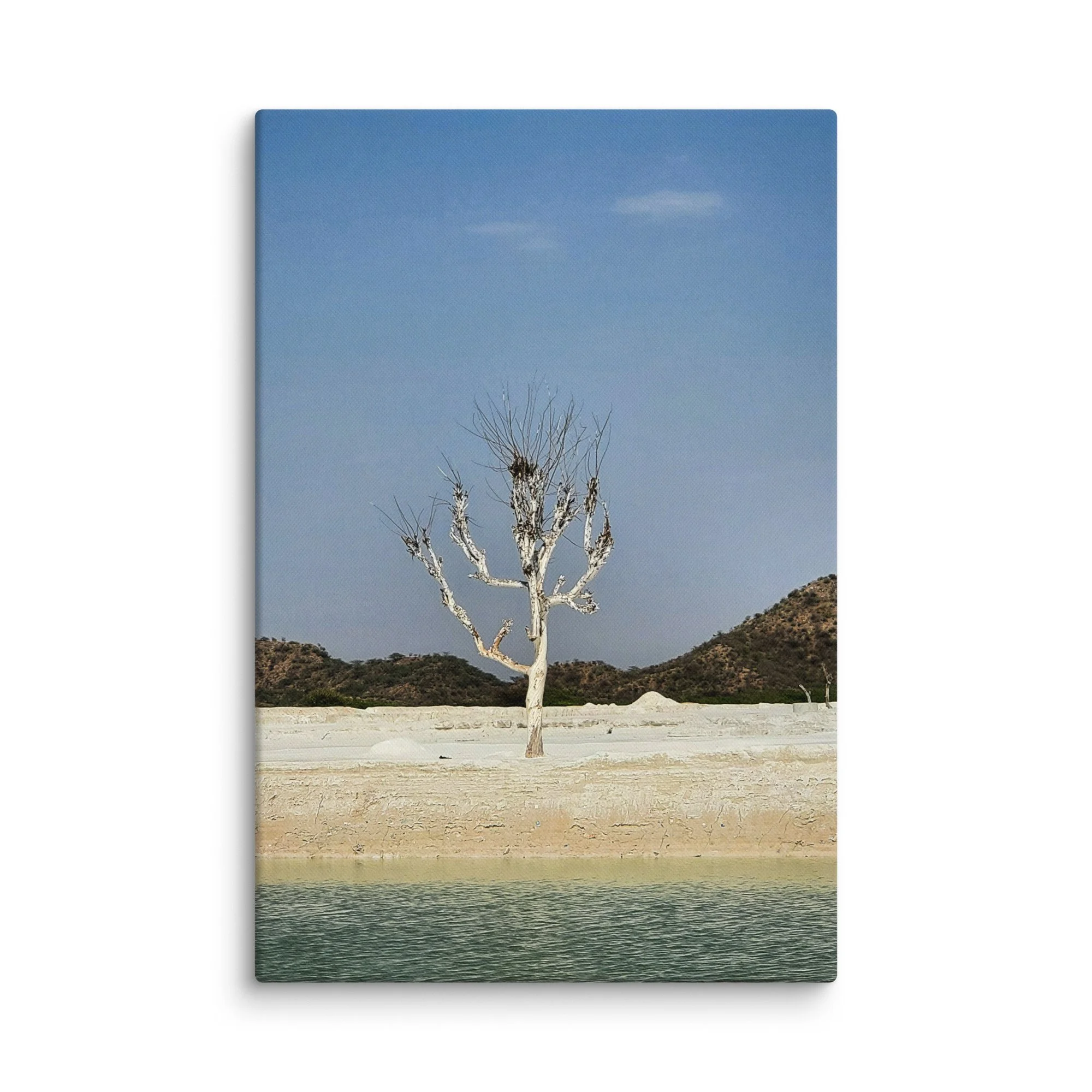 Lone twisted tree encrusted in salt standing in the vast white desert of Rann of Kutch, Rajasthan under blue sky – surreal India travel photography canvas print wall art decor