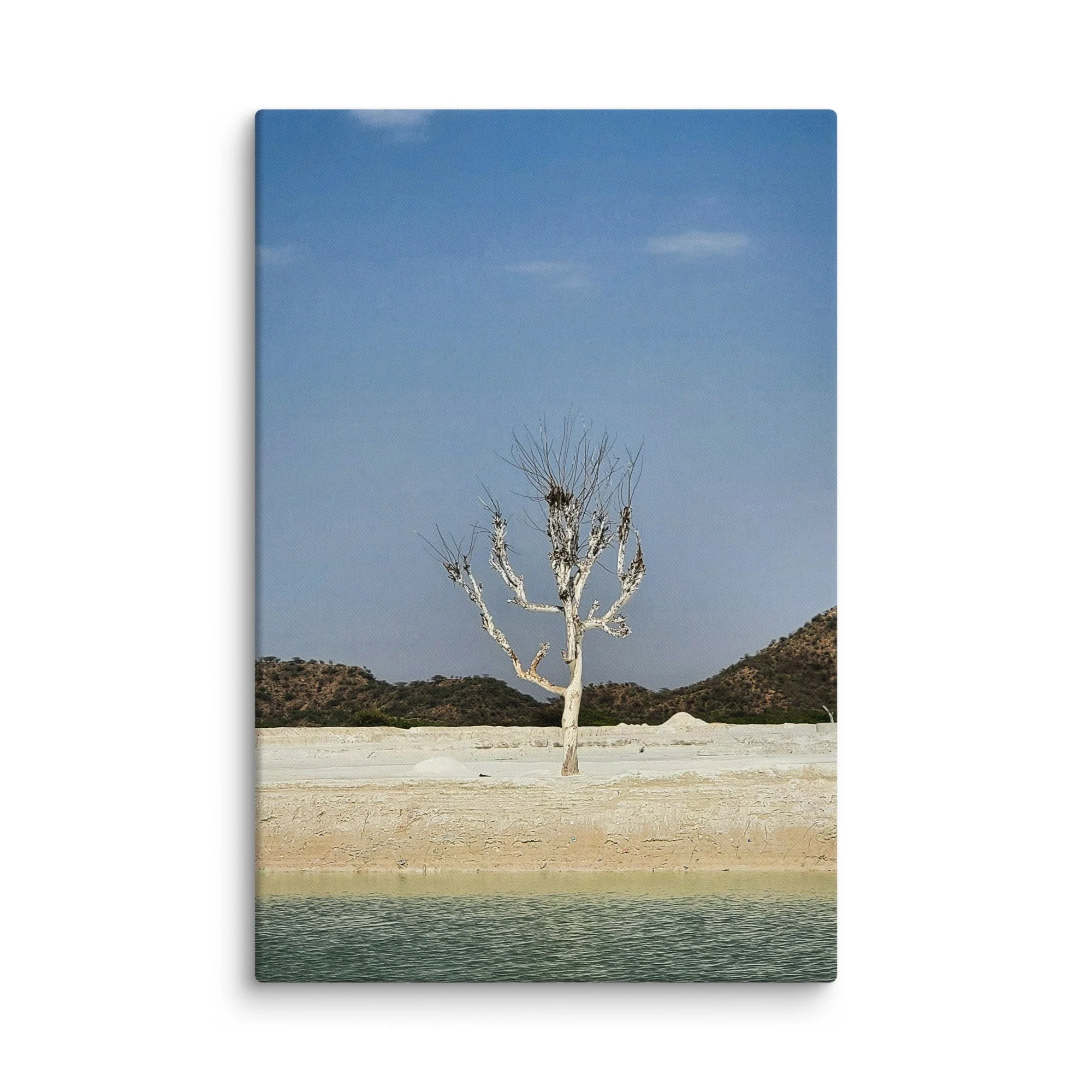 Lone twisted tree encrusted in salt standing in the vast white desert of Rann of Kutch, Rajasthan under blue sky – surreal India travel photography canvas print wall art decor