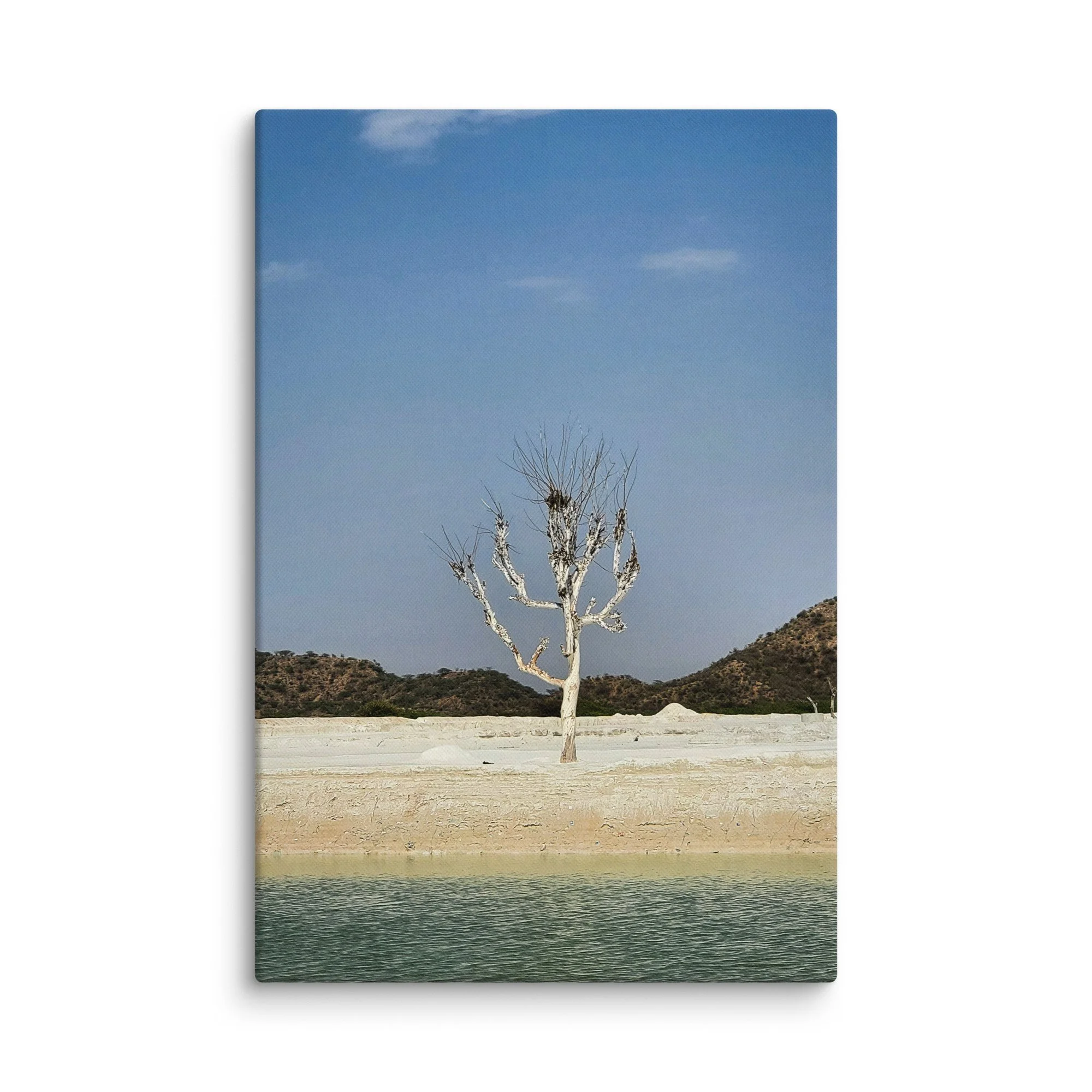 Lone twisted tree encrusted in salt standing in the vast white desert of Rann of Kutch, Rajasthan under blue sky – surreal India travel photography canvas print wall art decor