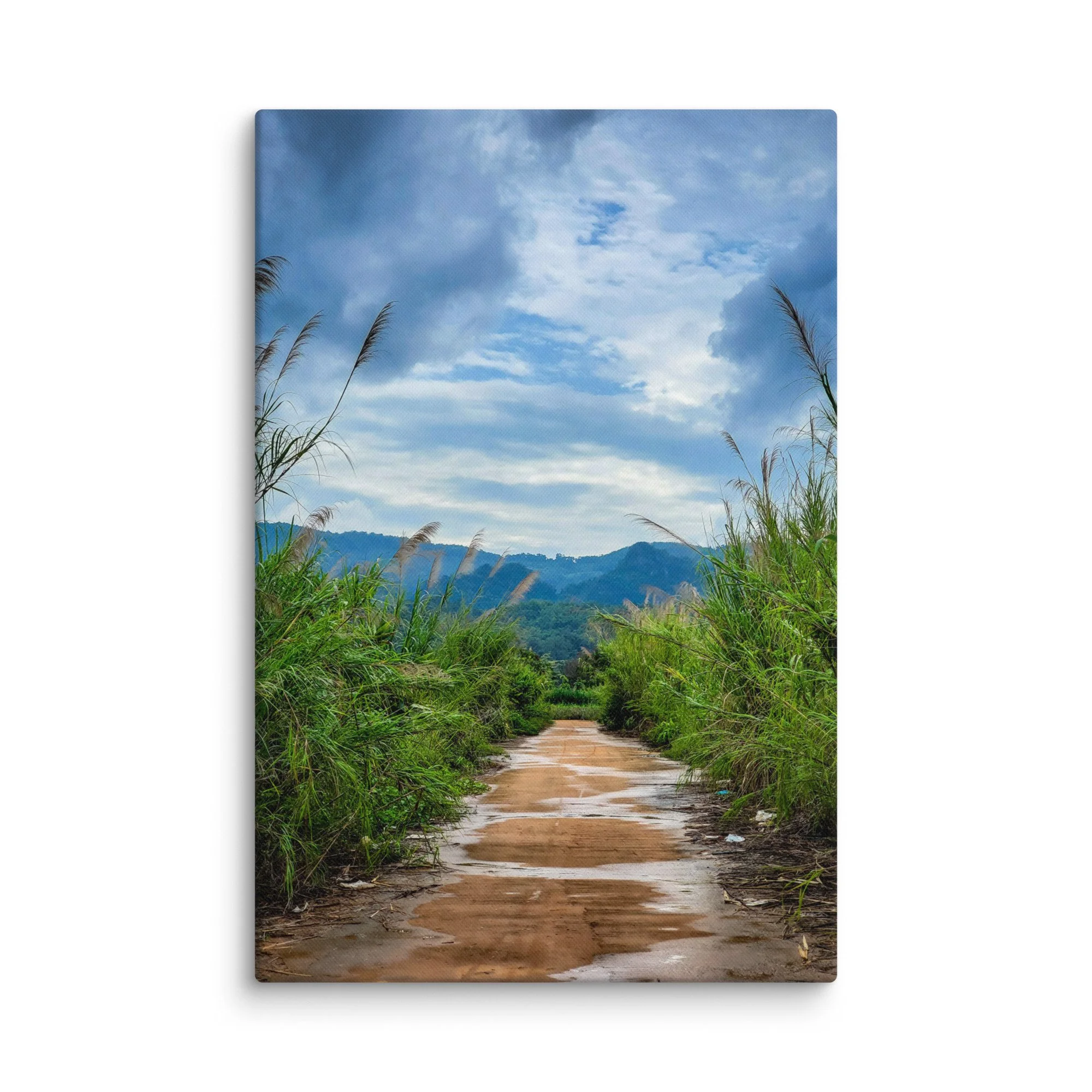 Muddy dirt road lined with tall reeds and wild grass leading through misty mountains in northern Vietnam (Hà Giang) under cloudy sky – adventure travel photography canvas print wall art decor
