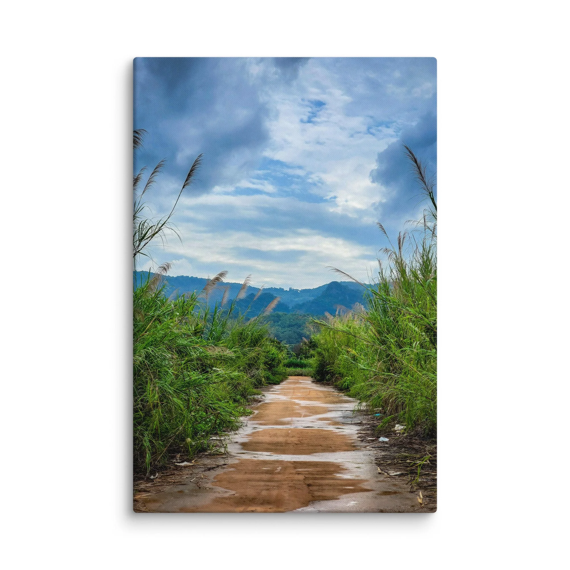 Muddy dirt road lined with tall reeds and wild grass leading through misty mountains in northern Vietnam (Hà Giang) under cloudy sky – adventure travel photography canvas print wall art decor