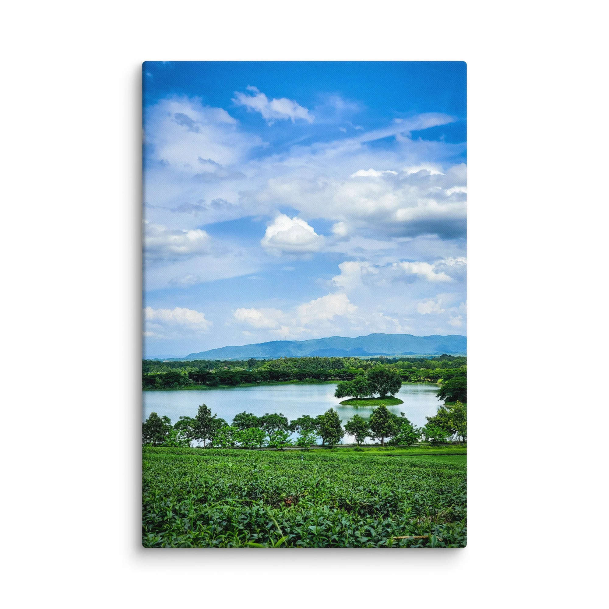 Lush green tea fields surrounding a serene lake with small tree island in northern Thailand (Chiang Rai area) under vibrant blue sky – highland travel photography canvas print wall art decor