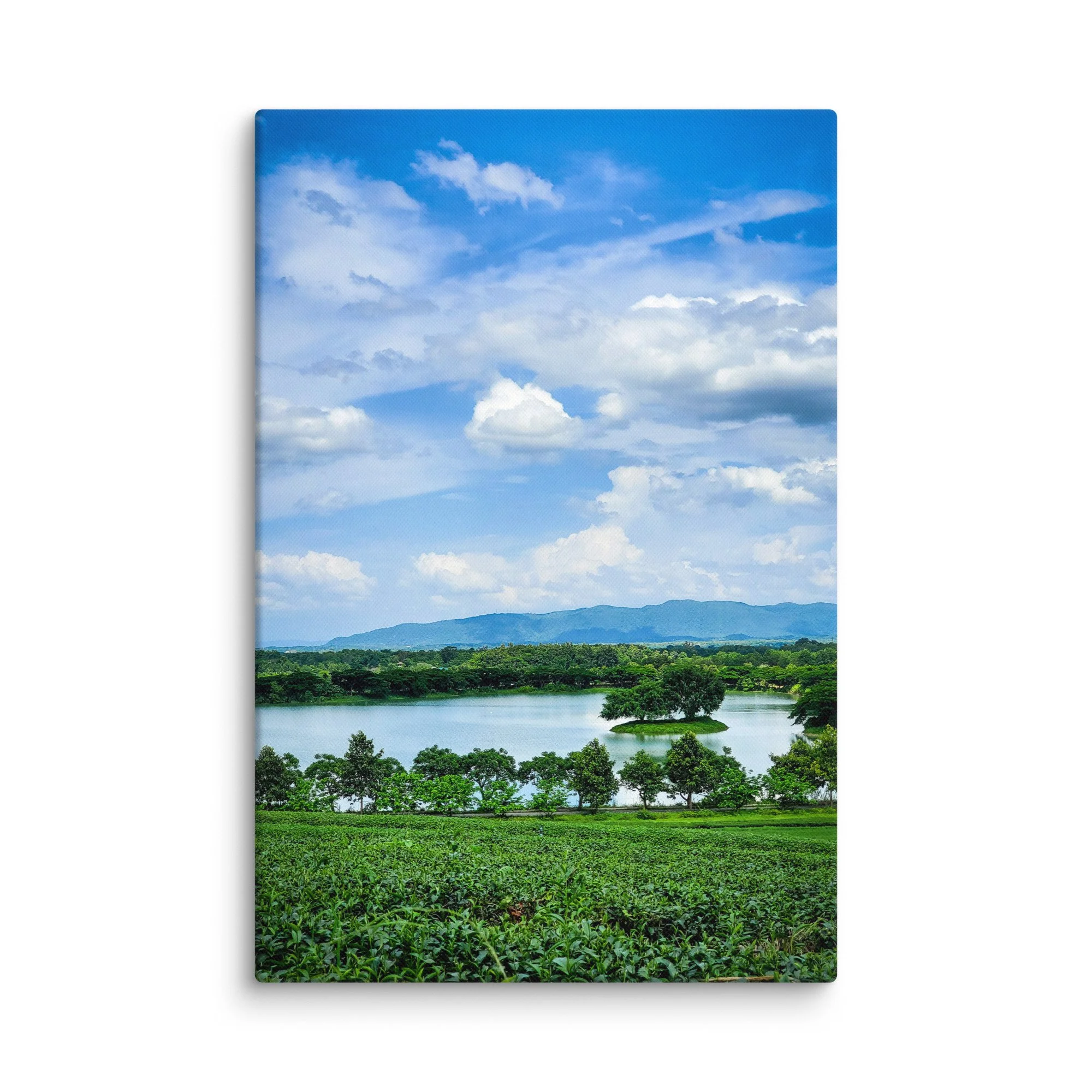 Lush green tea fields surrounding a serene lake with small tree island in northern Thailand (Chiang Rai area) under vibrant blue sky – highland travel photography canvas print wall art decor