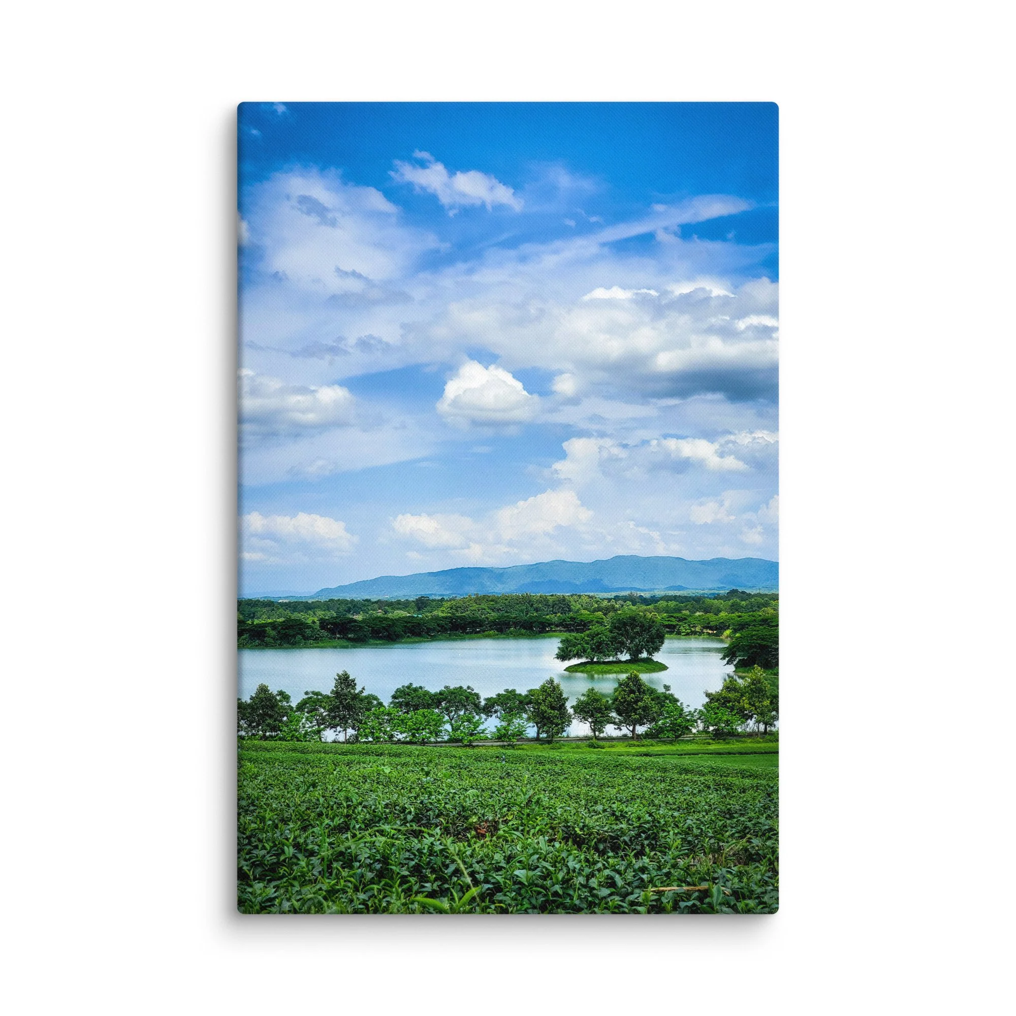 Lush green tea fields surrounding a serene lake with small tree island in northern Thailand (Chiang Rai area) under vibrant blue sky – highland travel photography canvas print wall art decor