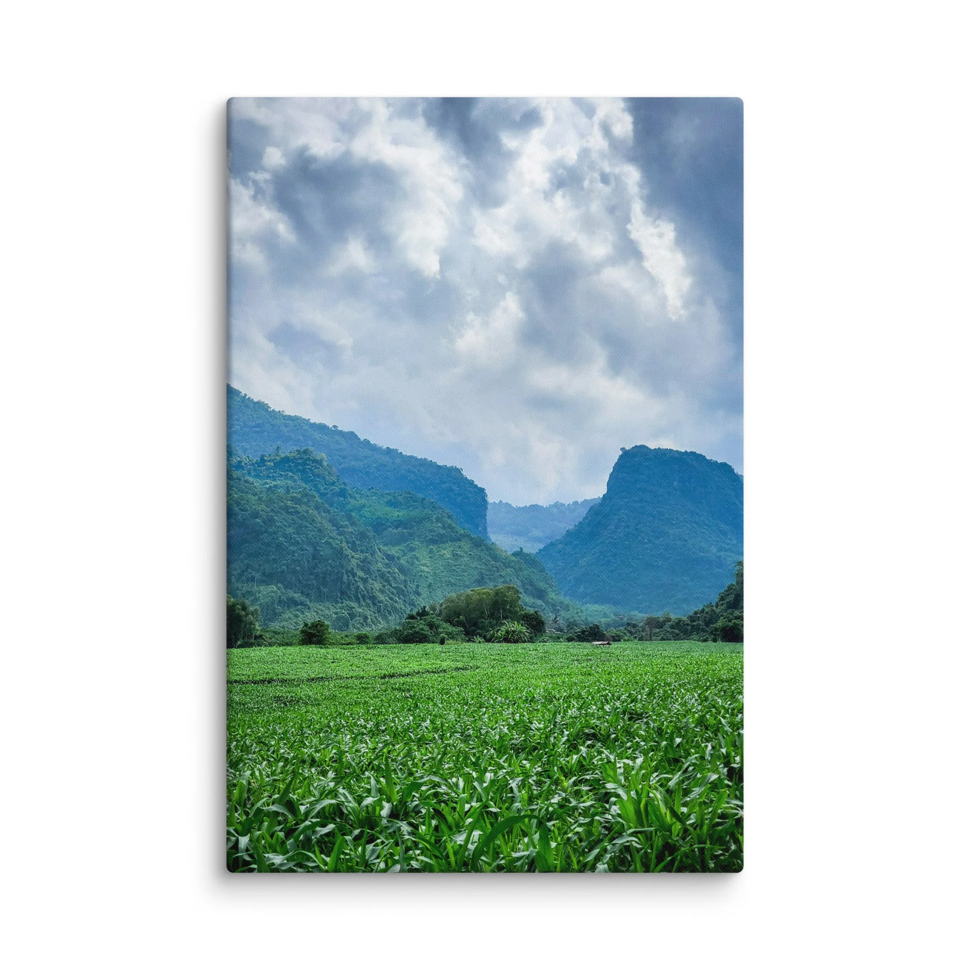 Vast green cornfields in a valley surrounded by lush jungle-covered limestone karst mountains in northern Vietnam (Hà Giang) under blue sky – highland travel photography canvas print