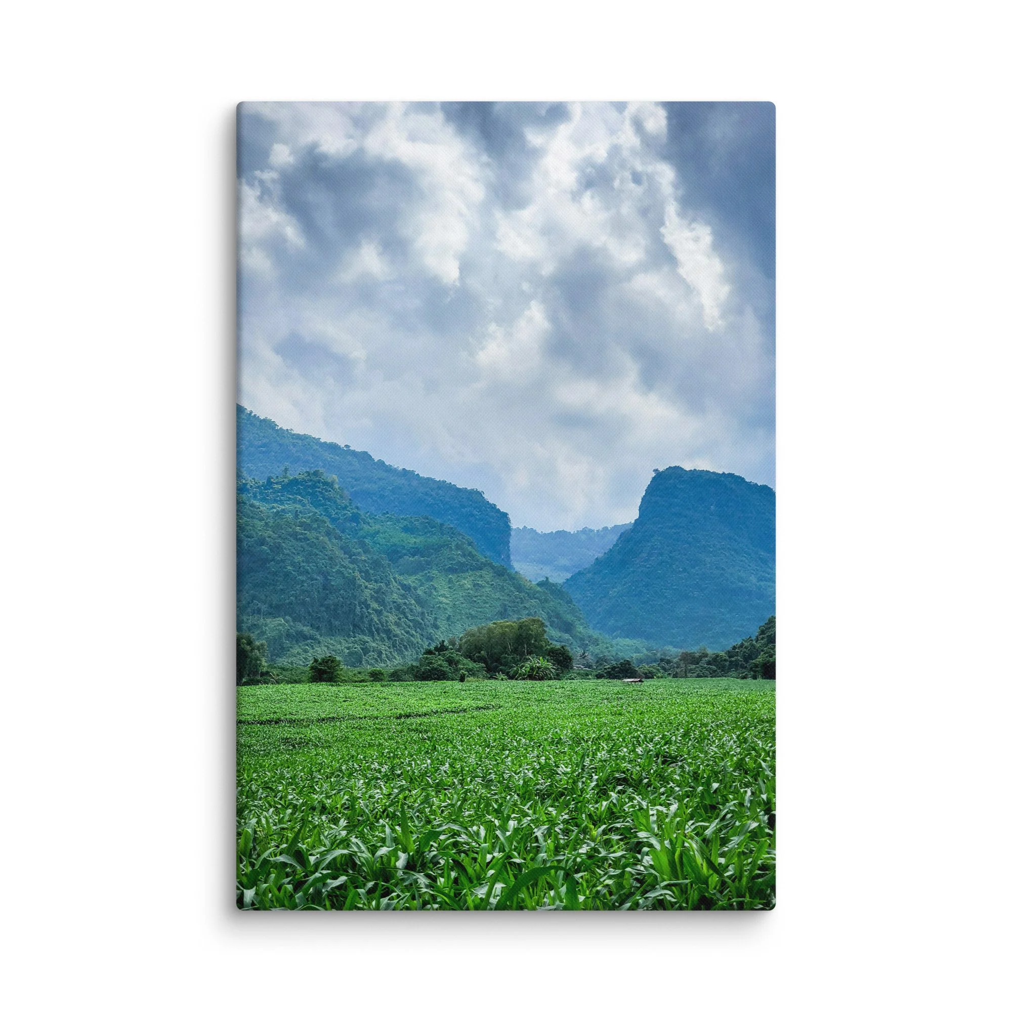 Vast green cornfields in a valley surrounded by lush jungle-covered limestone karst mountains in northern Vietnam (Hà Giang) under blue sky – highland travel photography canvas print