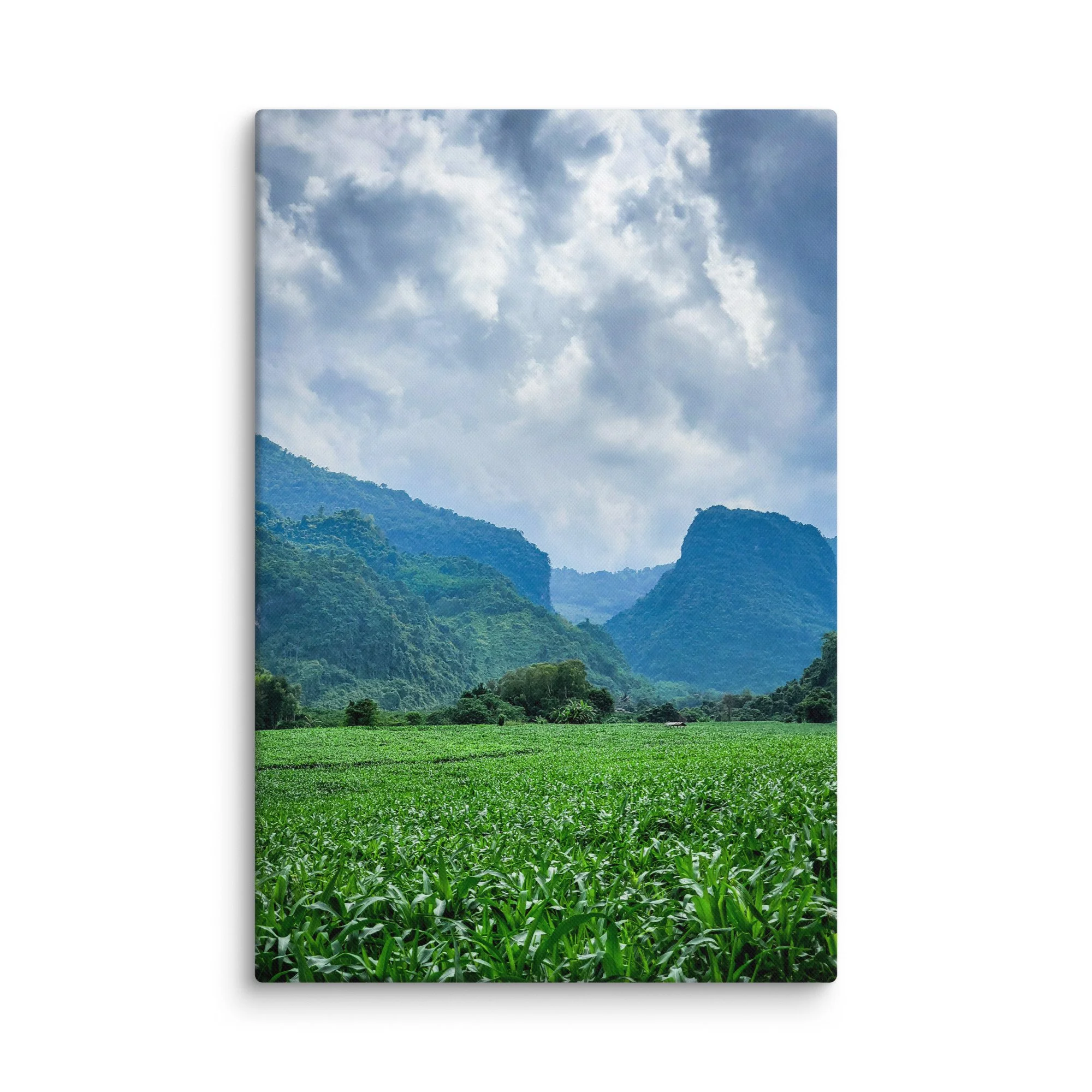 Vast green cornfields in a valley surrounded by lush jungle-covered limestone karst mountains in northern Vietnam (Hà Giang) under blue sky – highland travel photography canvas print