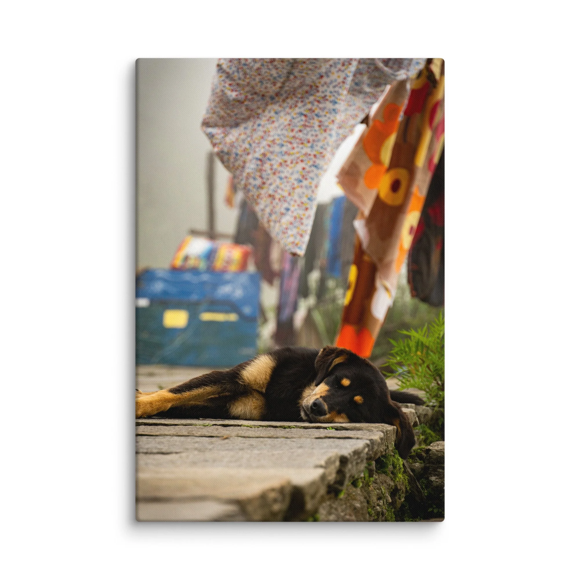 Relaxed street dog sleeping on stone steps surrounded by colorful hanging laundry in a traditional Nepali village – Himalayan travel photography canvas print wall art decor