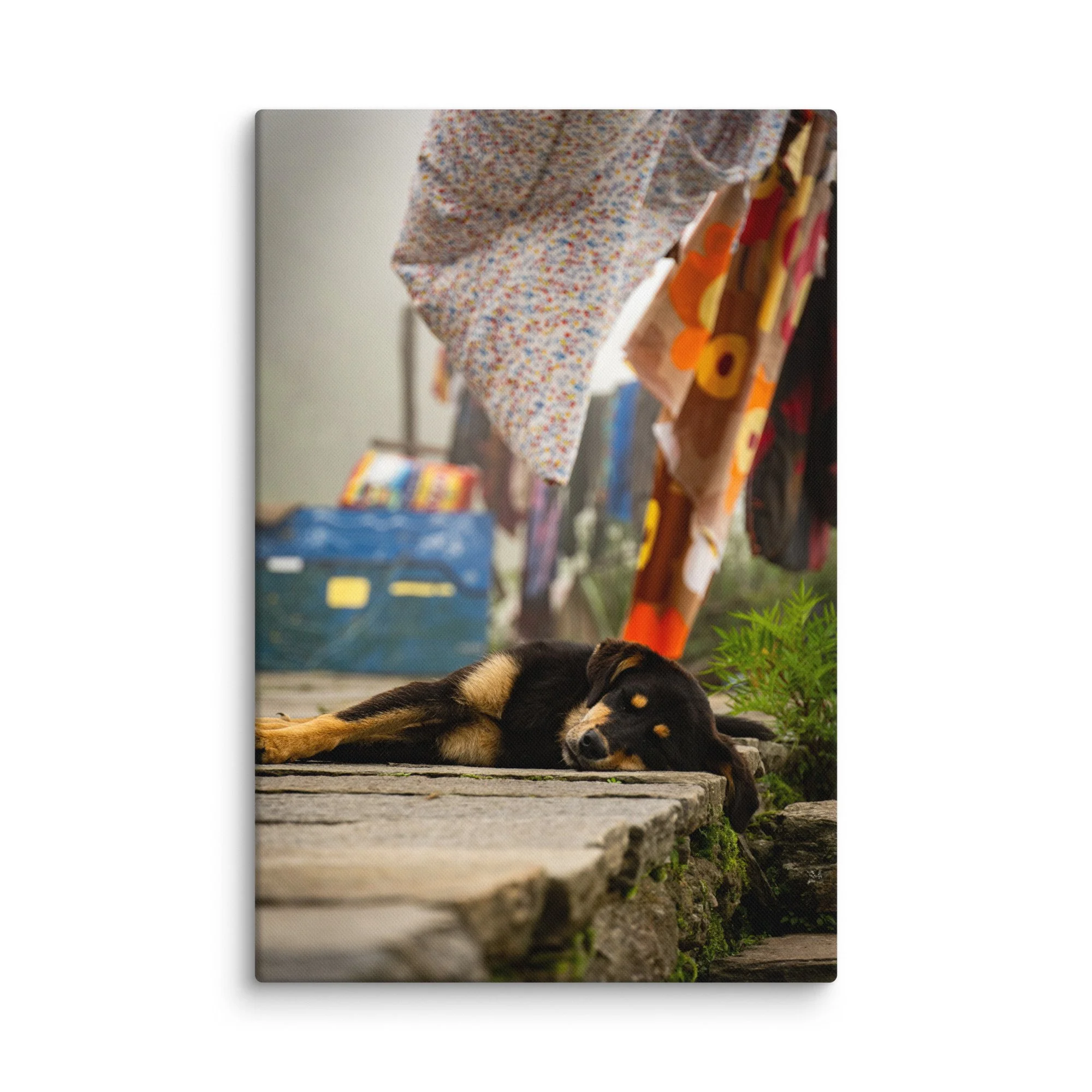 Relaxed street dog sleeping on stone steps surrounded by colorful hanging laundry in a traditional Nepali village – Himalayan travel photography canvas print wall art decor