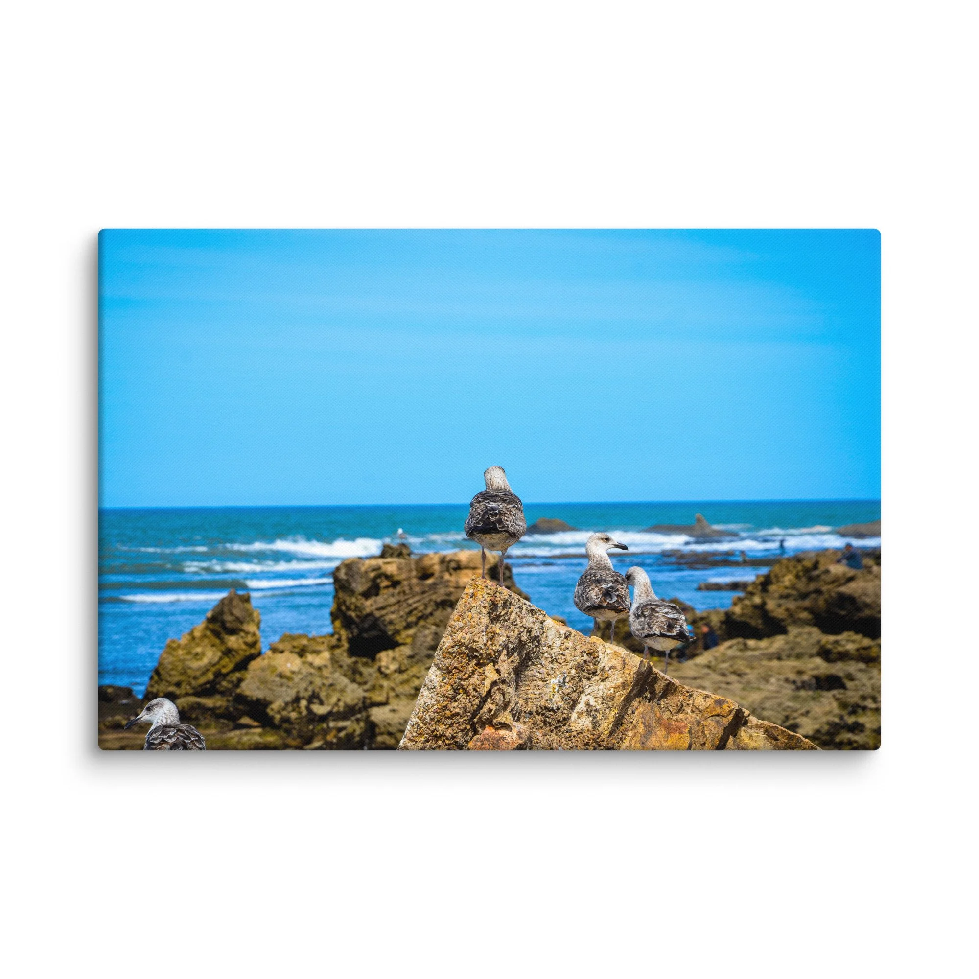 Three seagulls standing on dark rocks at the Atlantic coast near Essaouira, Morocco under bright blue sky and turquoise sea – coastal travel photography canvas print wall art decor