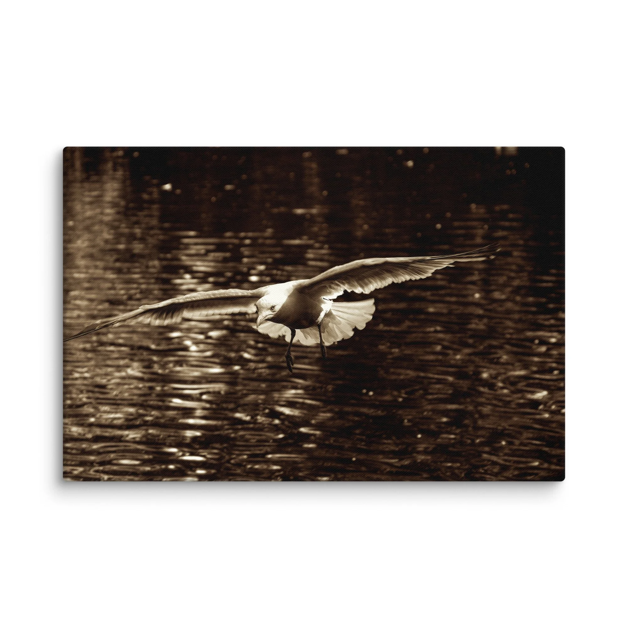 Seagull gliding over rippled water on Ireland’s dramatic Atlantic coast in beautiful sepia tones – Celtic travel photography canvas print wall art decor