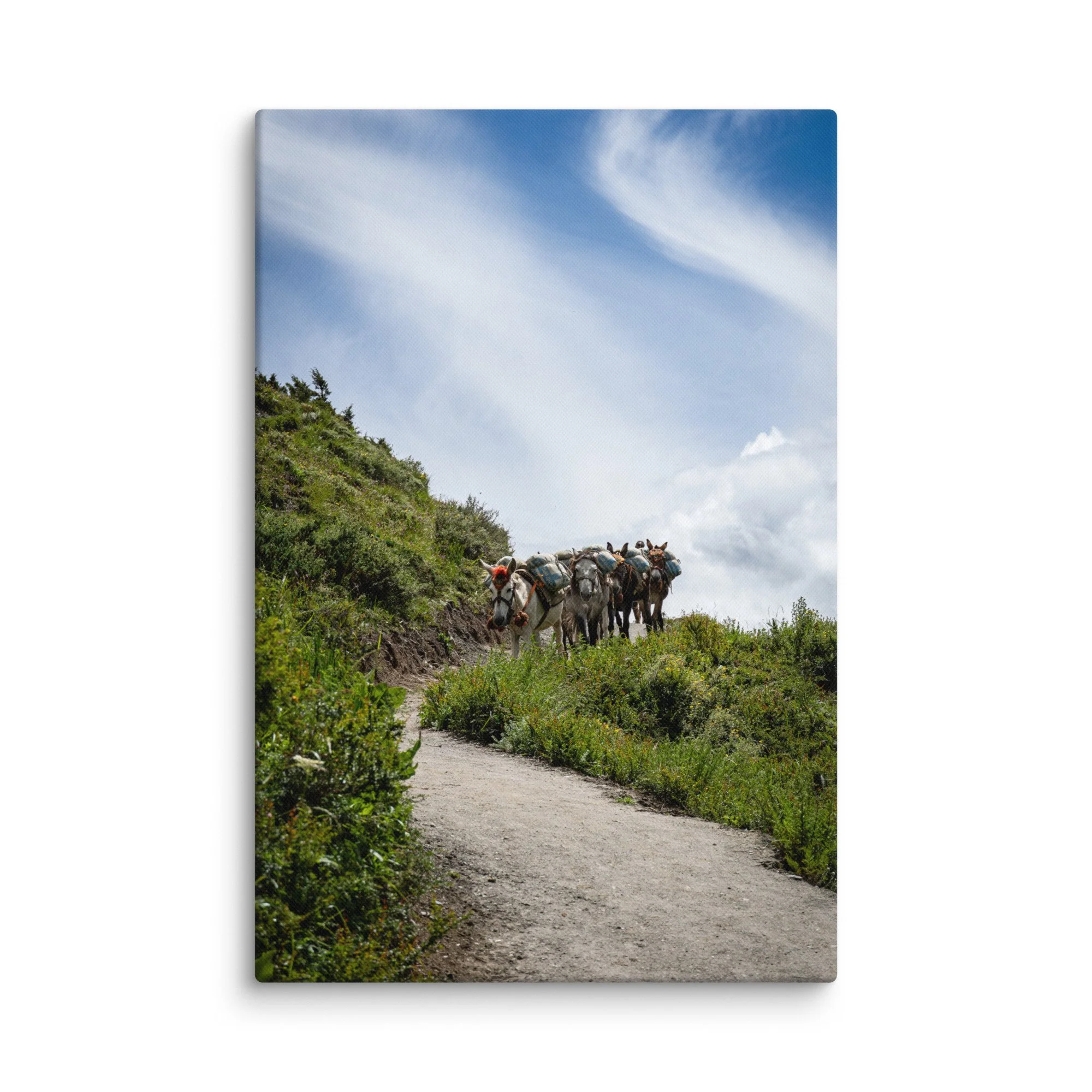 Mule caravan loaded with packs walking along a mountain trail on the Annapurna Circuit, Nepal with lush greenery and towering snow-capped Himalayan peaks – high-altitude trekking travel