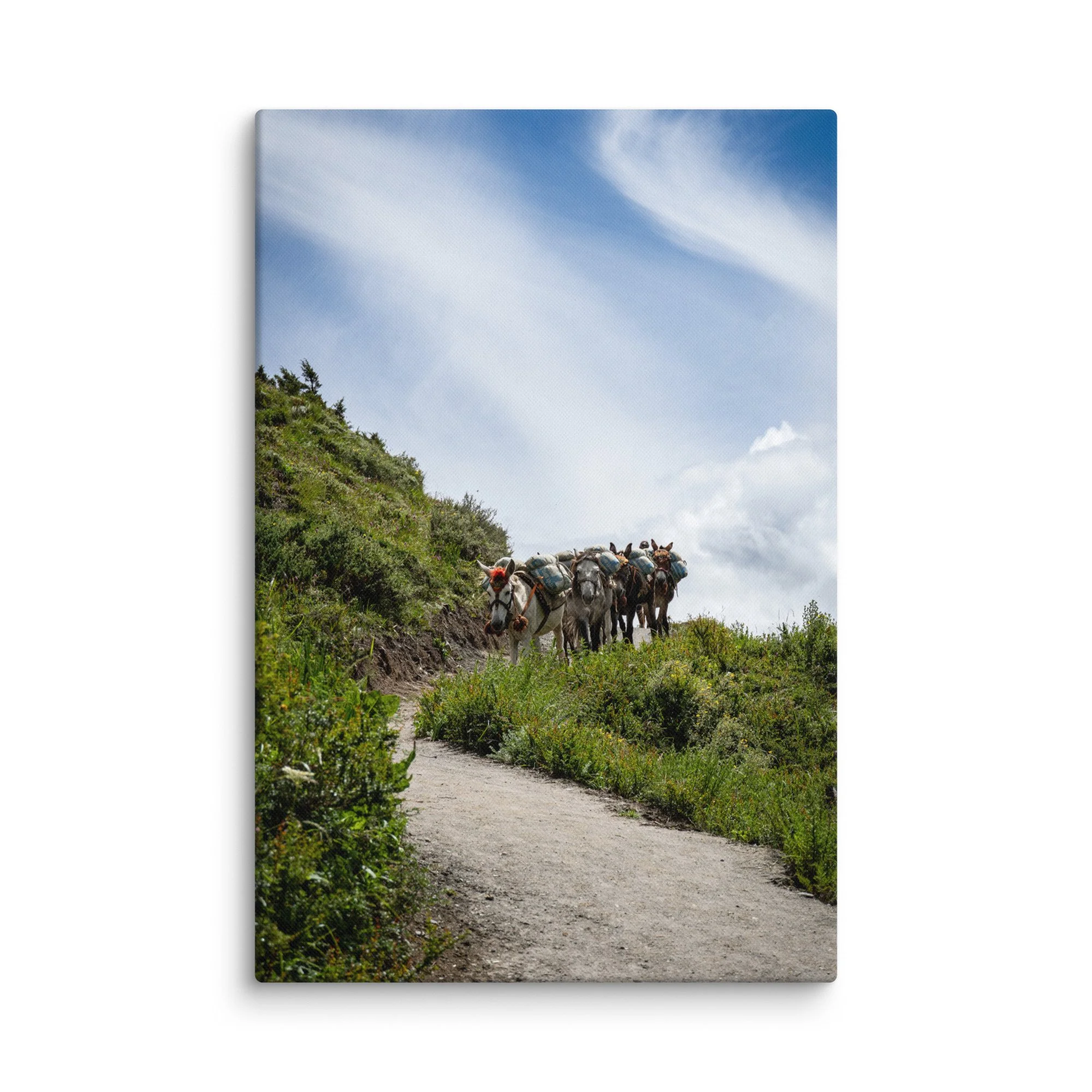 Mule caravan loaded with packs walking along a mountain trail on the Annapurna Circuit, Nepal with lush greenery and towering snow-capped Himalayan peaks – high-altitude trekking travel