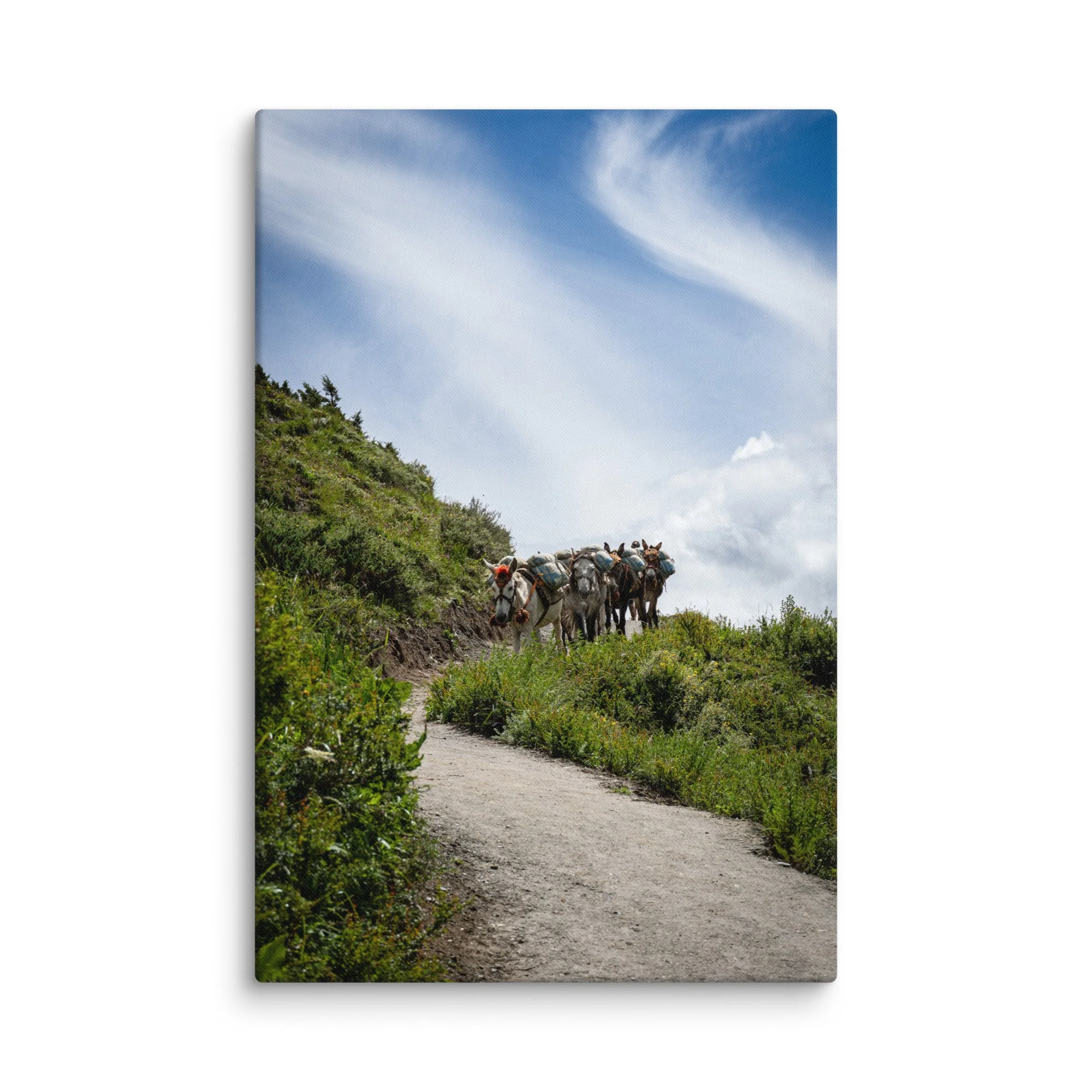 Mule caravan loaded with packs walking along a mountain trail on the Annapurna Circuit, Nepal with lush greenery and towering snow-capped Himalayan peaks – high-altitude trekking travel