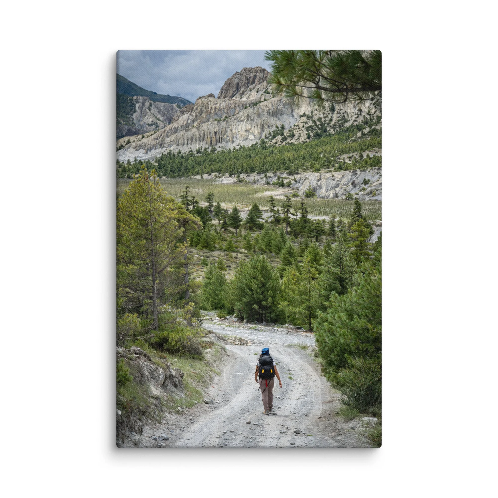 Lone trekker walking along a rocky mountain trail on the Annapurna Circuit, Nepal, surrounded by pine forests and dramatic Himalayan peaks – high-altitude trekking travel