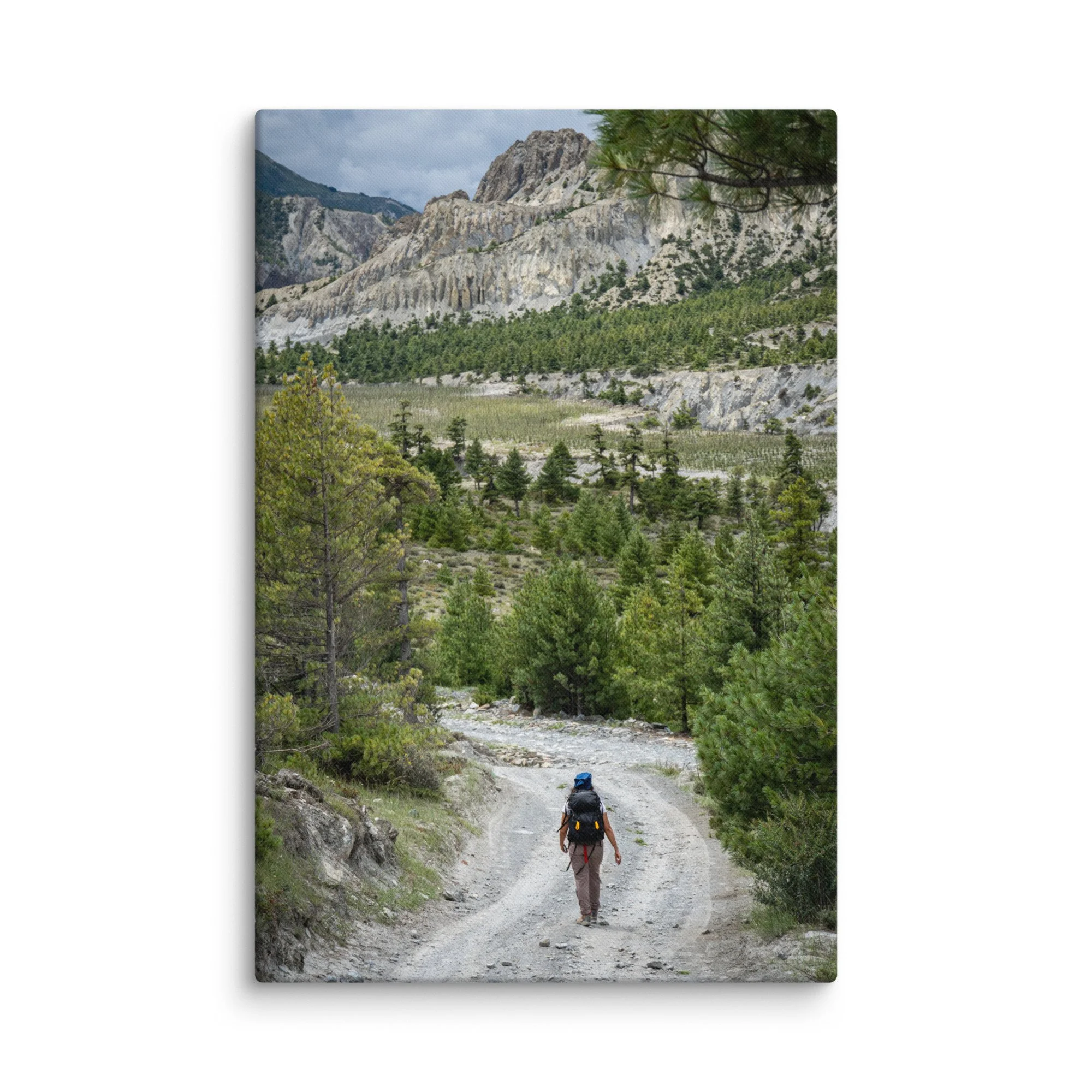 Lone trekker walking along a rocky mountain trail on the Annapurna Circuit, Nepal, surrounded by pine forests and dramatic Himalayan peaks – high-altitude trekking travel