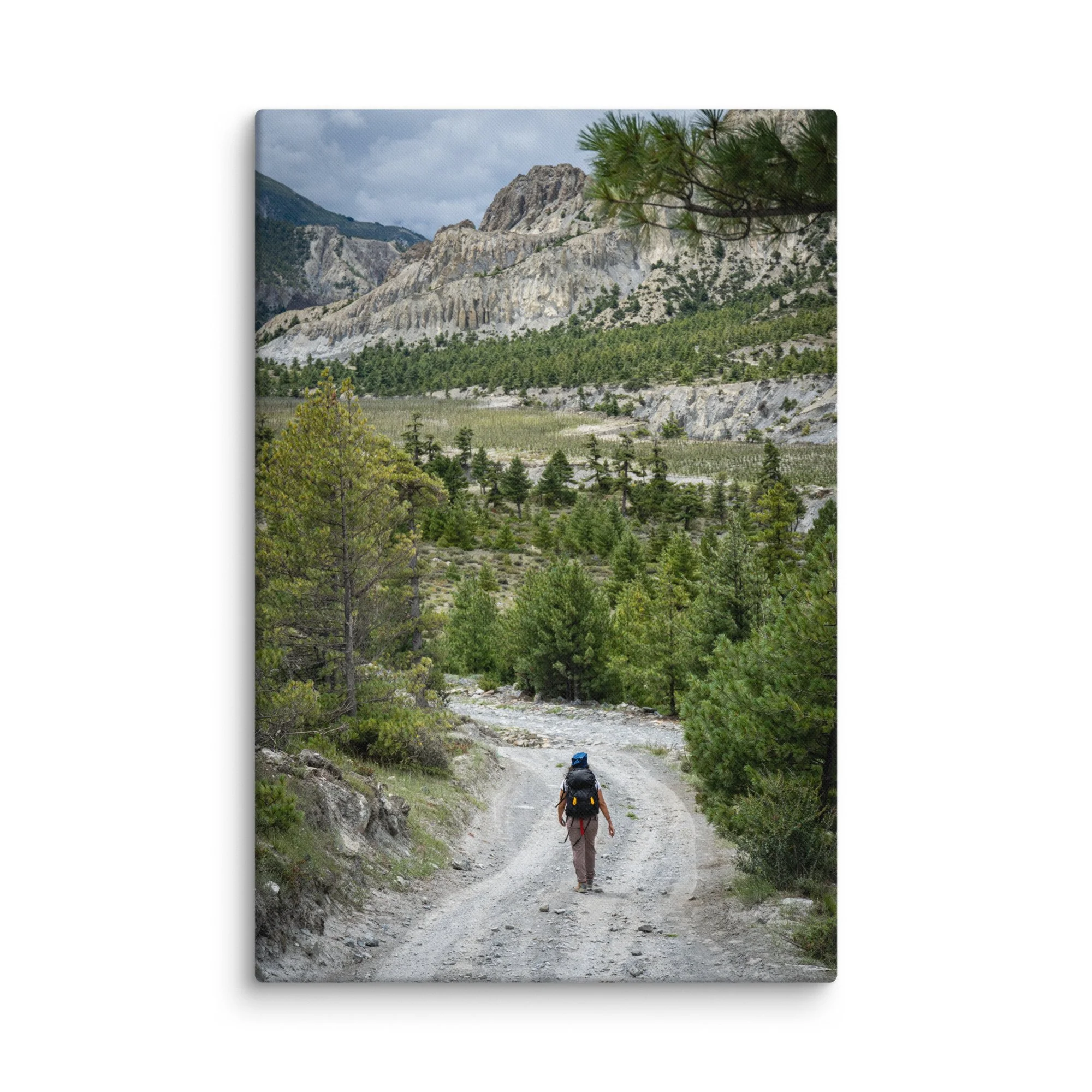 Lone trekker walking along a rocky mountain trail on the Annapurna Circuit, Nepal, surrounded by pine forests and dramatic Himalayan peaks – high-altitude trekking travel