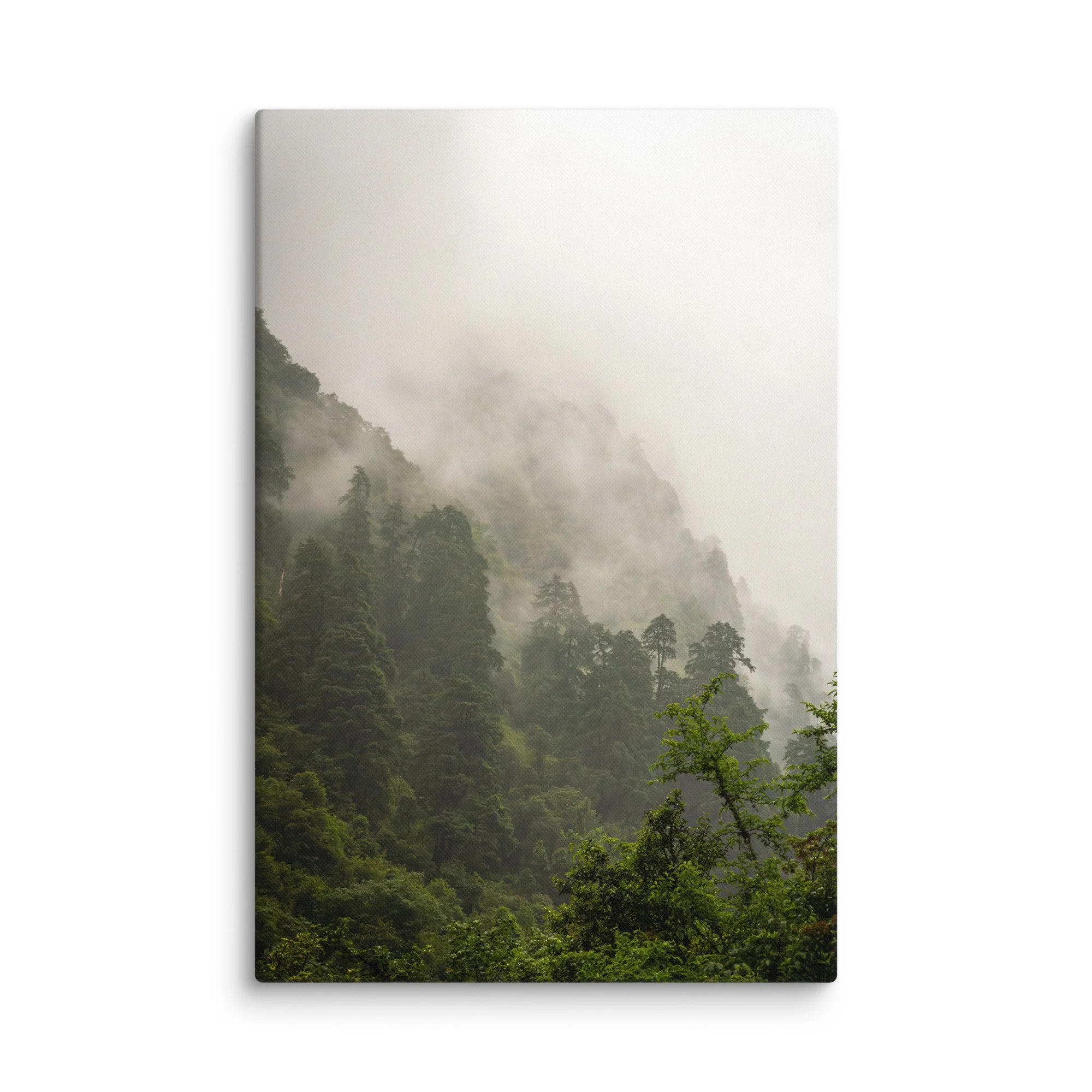 Lush misty rhododendron and pine forest valley on the Annapurna Circuit/Base Camp Trek, Nepal with towering green slopes and distant Himalayan peaks – high-altitude trekking travel