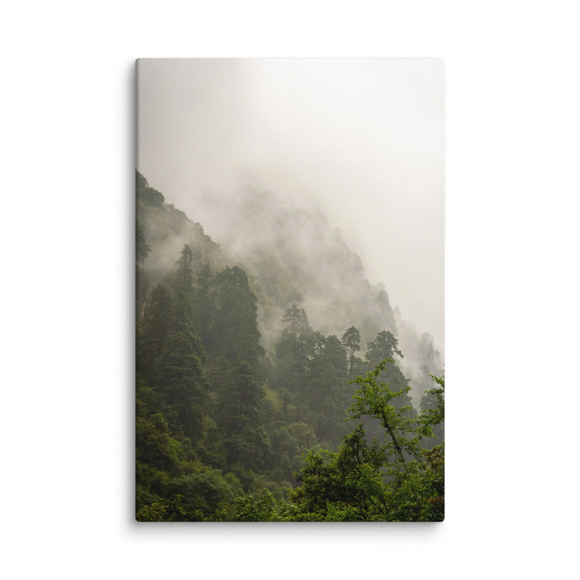 Lush misty rhododendron and pine forest valley on the Annapurna Circuit/Base Camp Trek, Nepal with towering green slopes and distant Himalayan peaks – high-altitude trekking travel