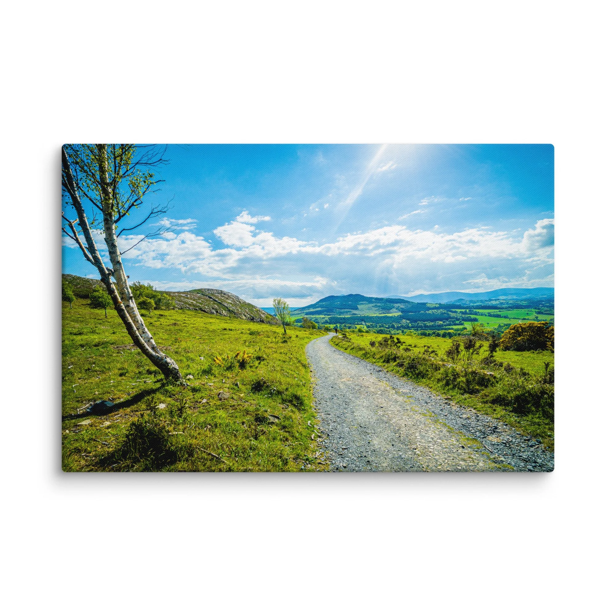 Sunlit gravel road winding through lush green Irish countryside hills with birch trees and distant mountains under blue sky – Celtic rural travel photography canvas print wall art decor