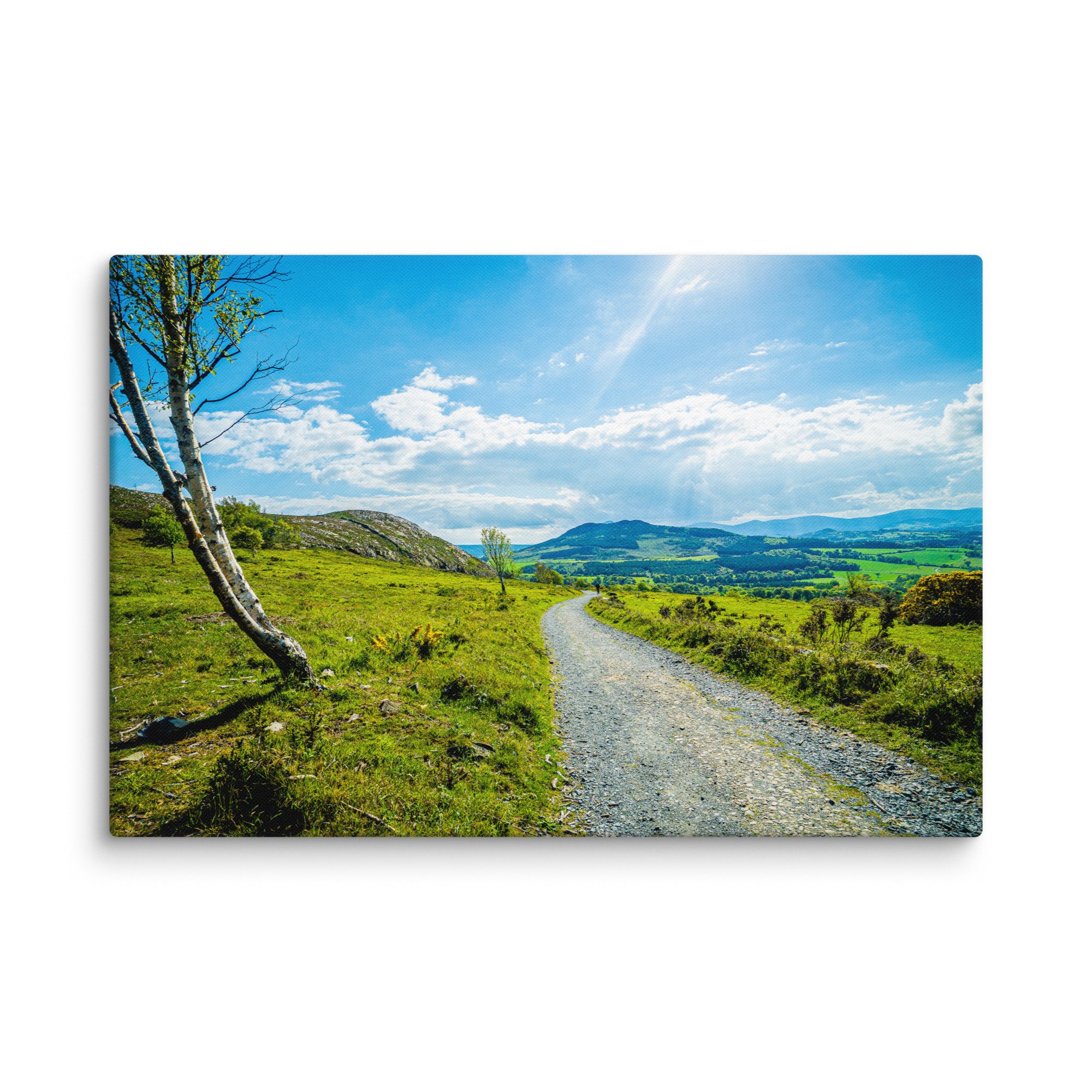 Sunlit gravel road winding through lush green Irish countryside hills with birch trees and distant mountains under blue sky – Celtic rural travel photography canvas print wall art decor