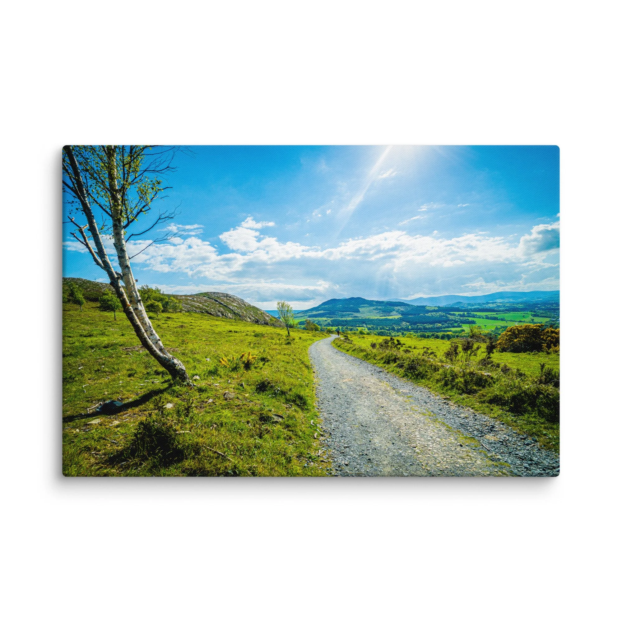 Sunlit gravel road winding through lush green Irish countryside hills with birch trees and distant mountains under blue sky – Celtic rural travel photography canvas print wall art decor