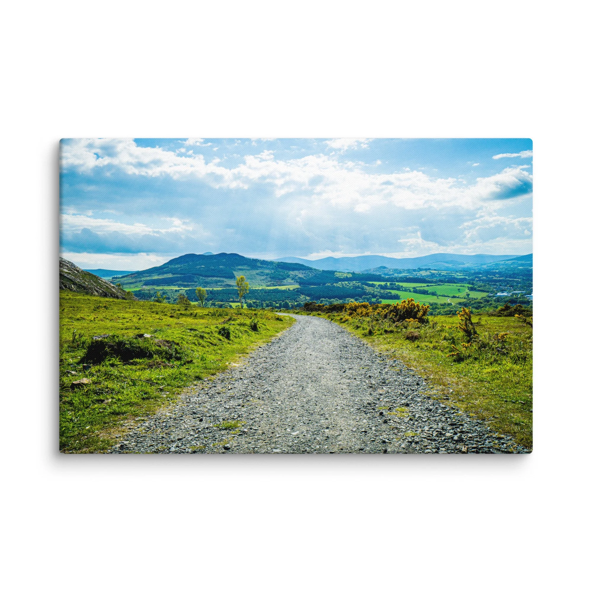 Sunlit gravel road winding through lush green Irish countryside hills with birch trees and distant mountains under blue sky – Celtic rural travel photography canvas print wall art decor