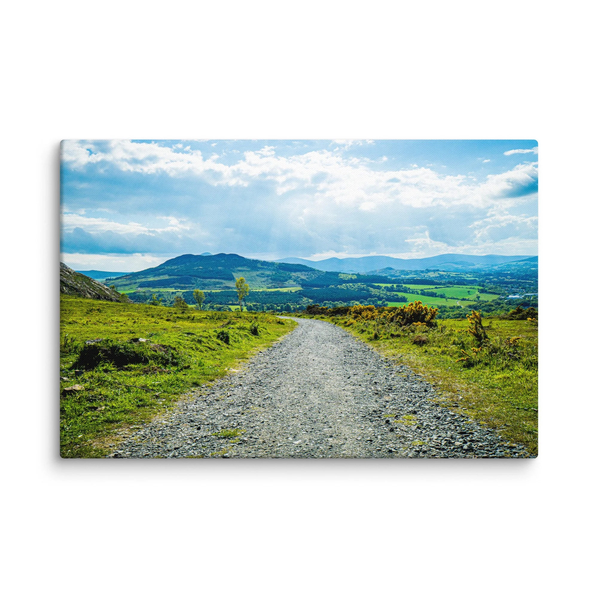 Sunlit gravel road winding through lush green Irish countryside hills with birch trees and distant mountains under blue sky – Celtic rural travel photography canvas print wall art decor
