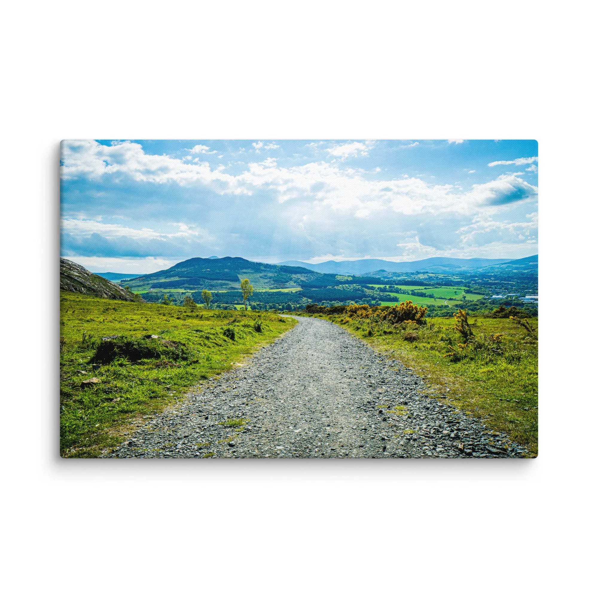 Sunlit gravel road winding through lush green Irish countryside hills with birch trees and distant mountains under blue sky – Celtic rural travel photography canvas print wall art decor