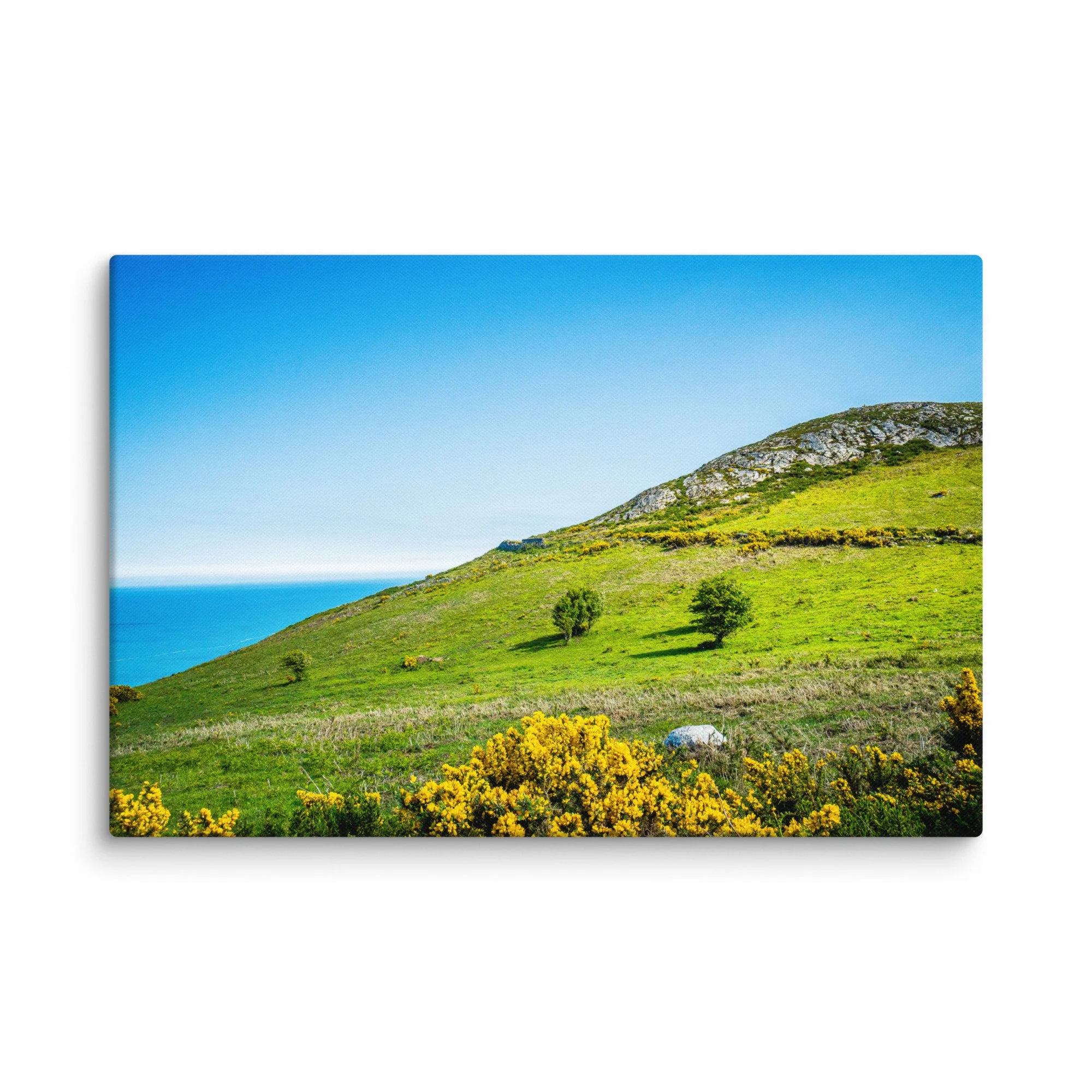 Vibrant green hillside with blooming gorse overlooking turquoise Atlantic Ocean and distant rocky islands under blue sky, Ireland – Celtic coastal travel photography canvas print wall art