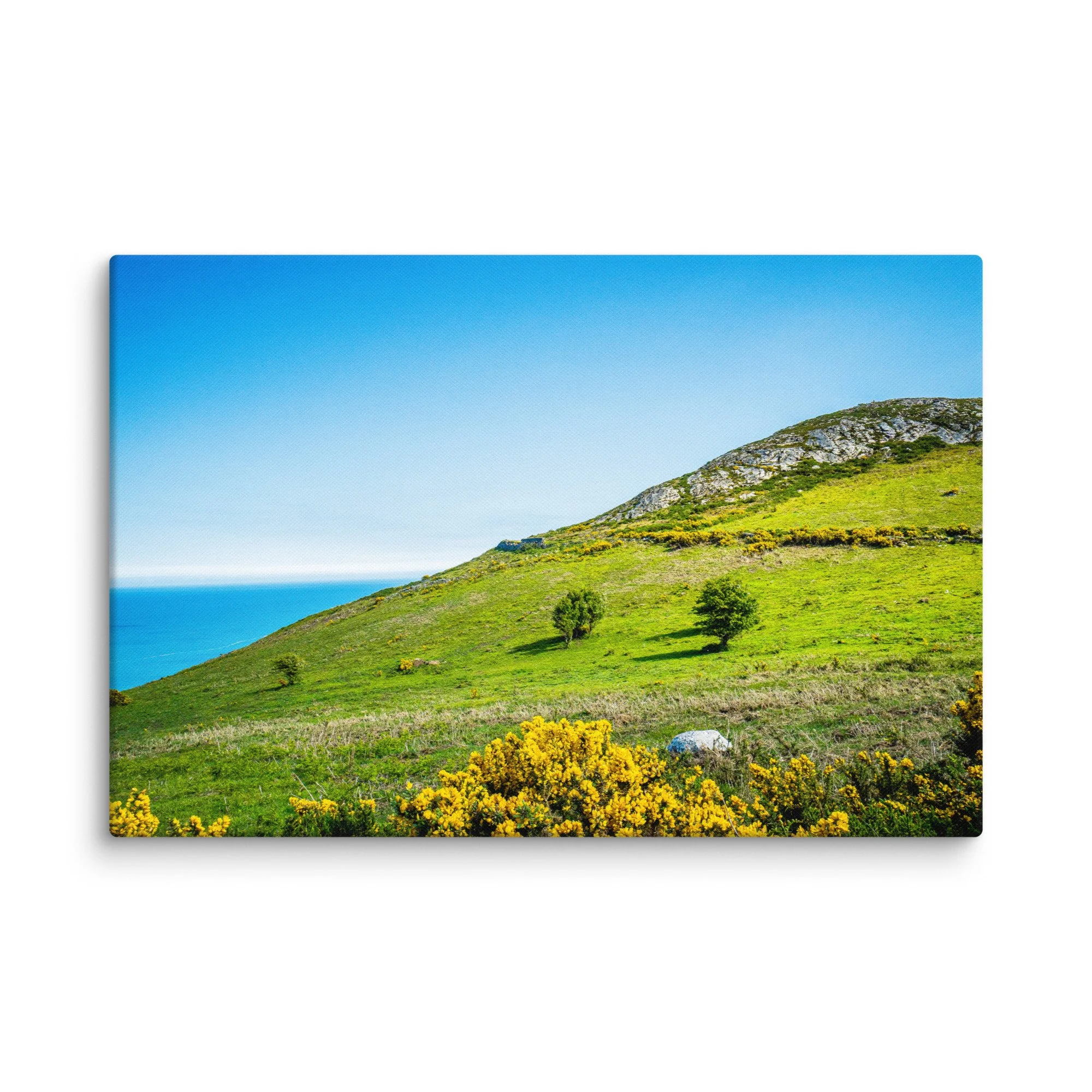 Vibrant green hillside with blooming gorse overlooking turquoise Atlantic Ocean and distant rocky islands under blue sky, Ireland – Celtic coastal travel photography canvas print wall art
