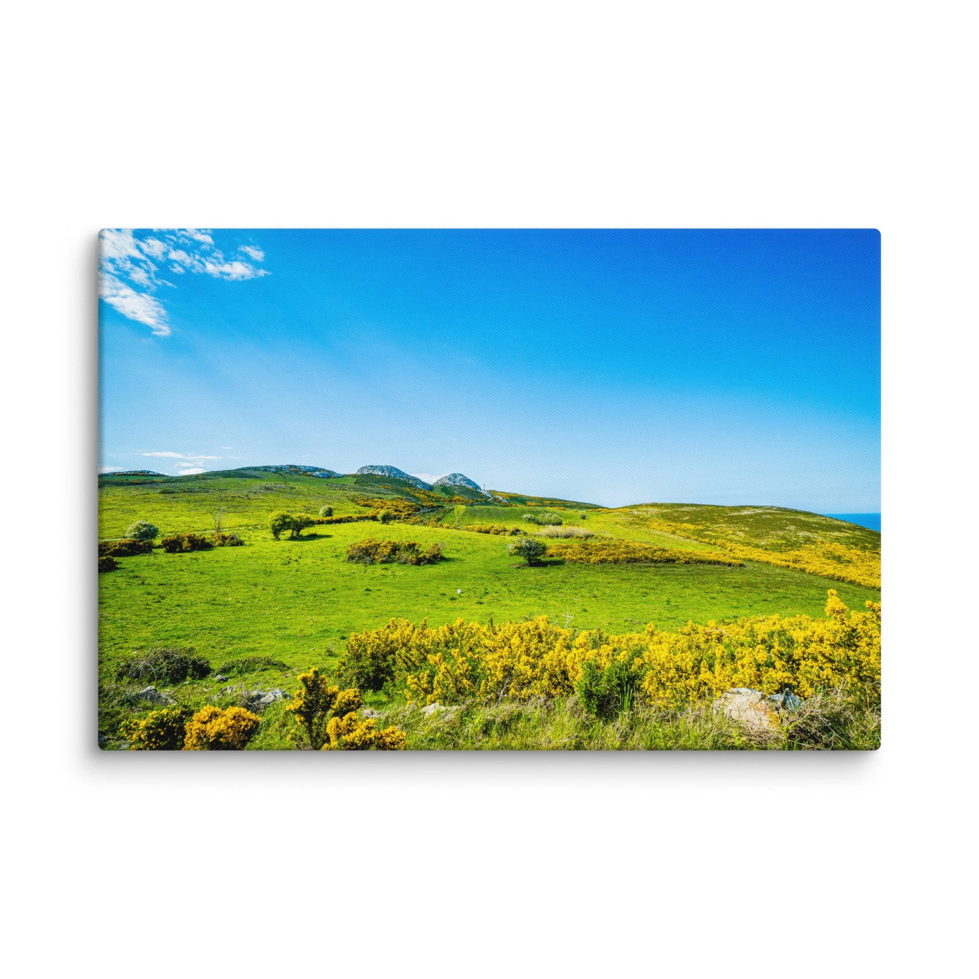 Vibrant green hillside with blooming gorse overlooking turquoise Atlantic Ocean and distant rocky islands under blue sky, Ireland – Celtic coastal travel photography canvas print wall art
