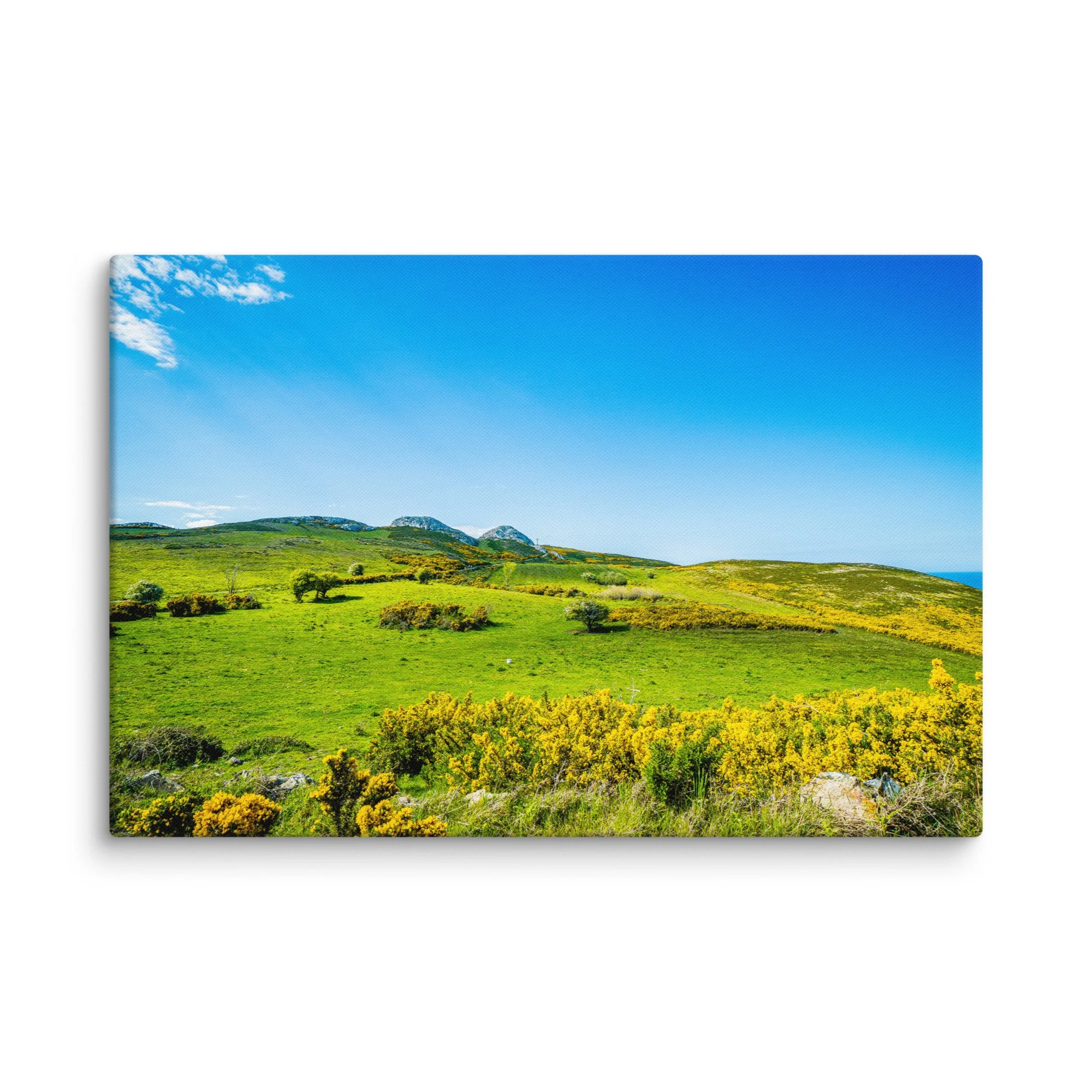 Vibrant green hillside with blooming gorse overlooking turquoise Atlantic Ocean and distant rocky islands under blue sky, Ireland – Celtic coastal travel photography canvas print wall art