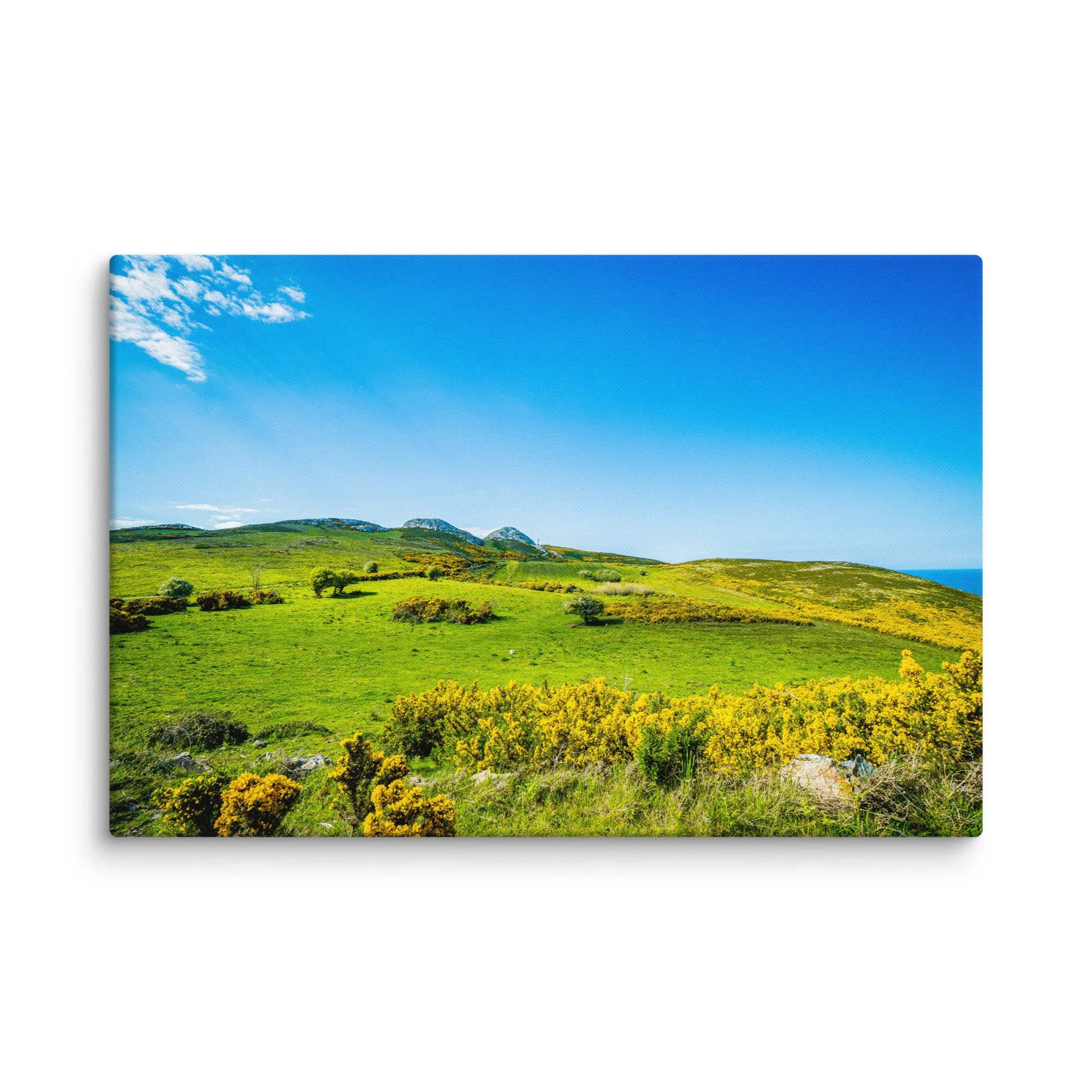 Vibrant green hillside with blooming gorse overlooking turquoise Atlantic Ocean and distant rocky islands under blue sky, Ireland – Celtic coastal travel photography canvas print wall art