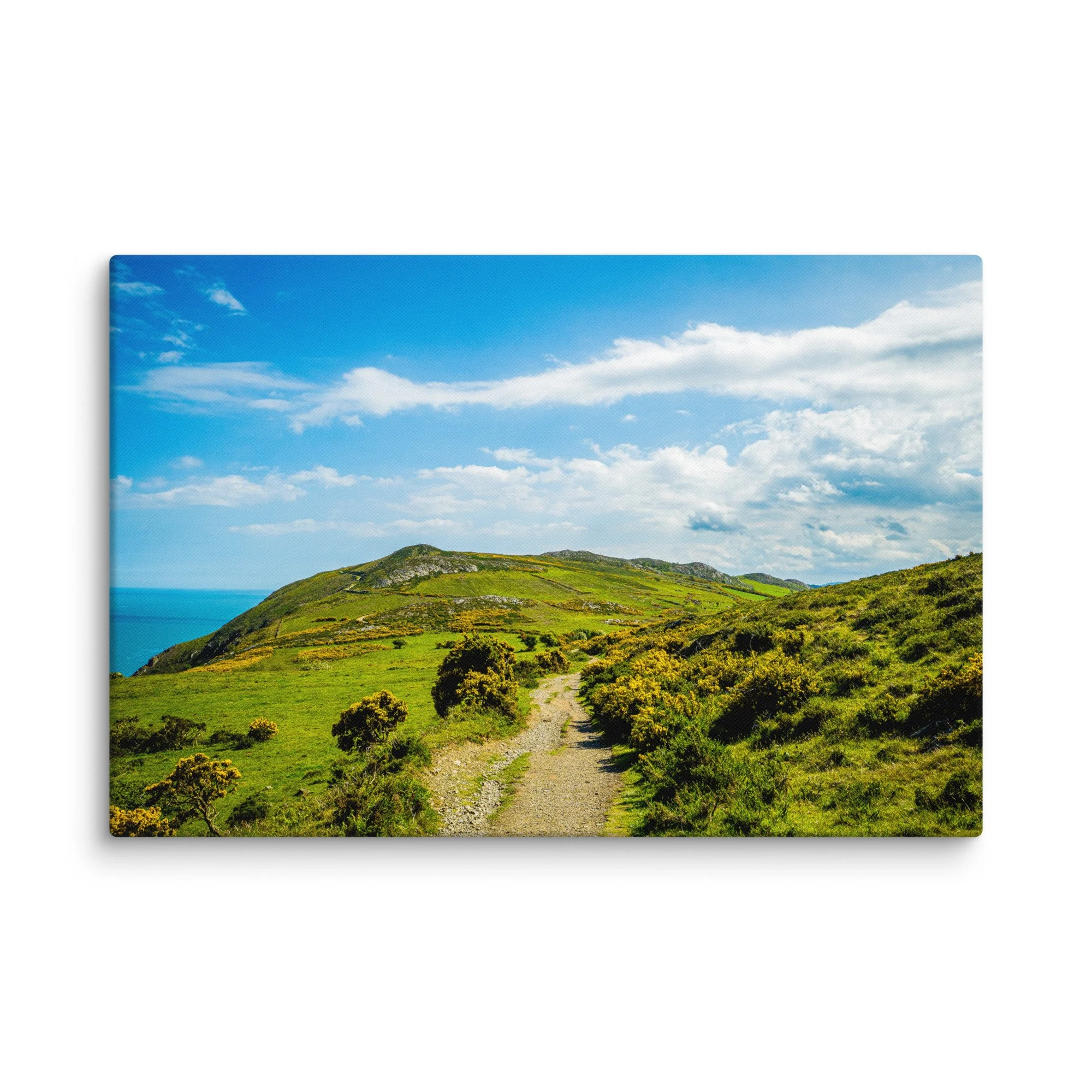 Vibrant green hillside with blooming gorse overlooking turquoise Atlantic Ocean and distant rocky islands under blue sky, Ireland – Celtic coastal travel photography canvas print wall art