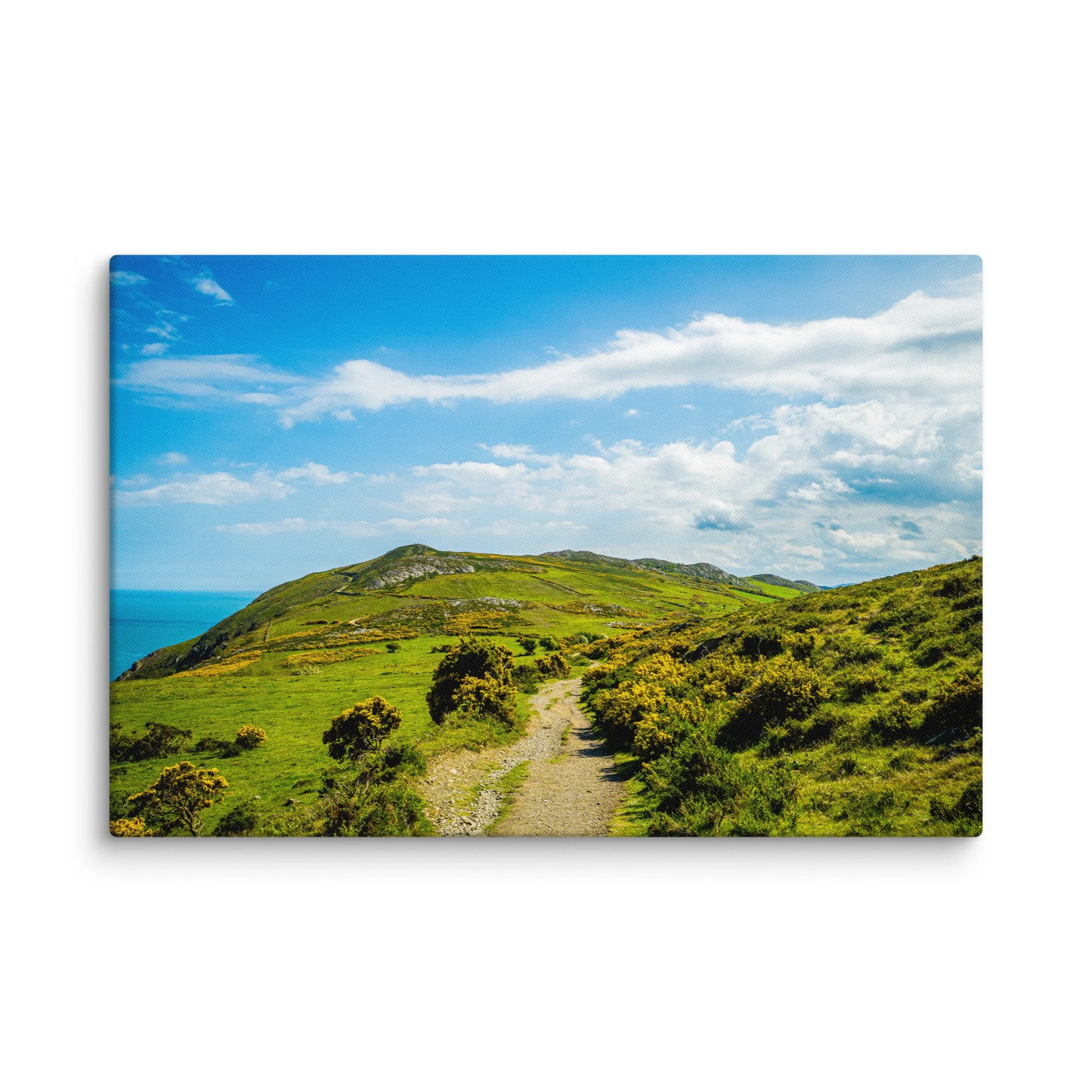 Vibrant green hillside with blooming gorse overlooking turquoise Atlantic Ocean and distant rocky islands under blue sky, Ireland – Celtic coastal travel photography canvas print wall art