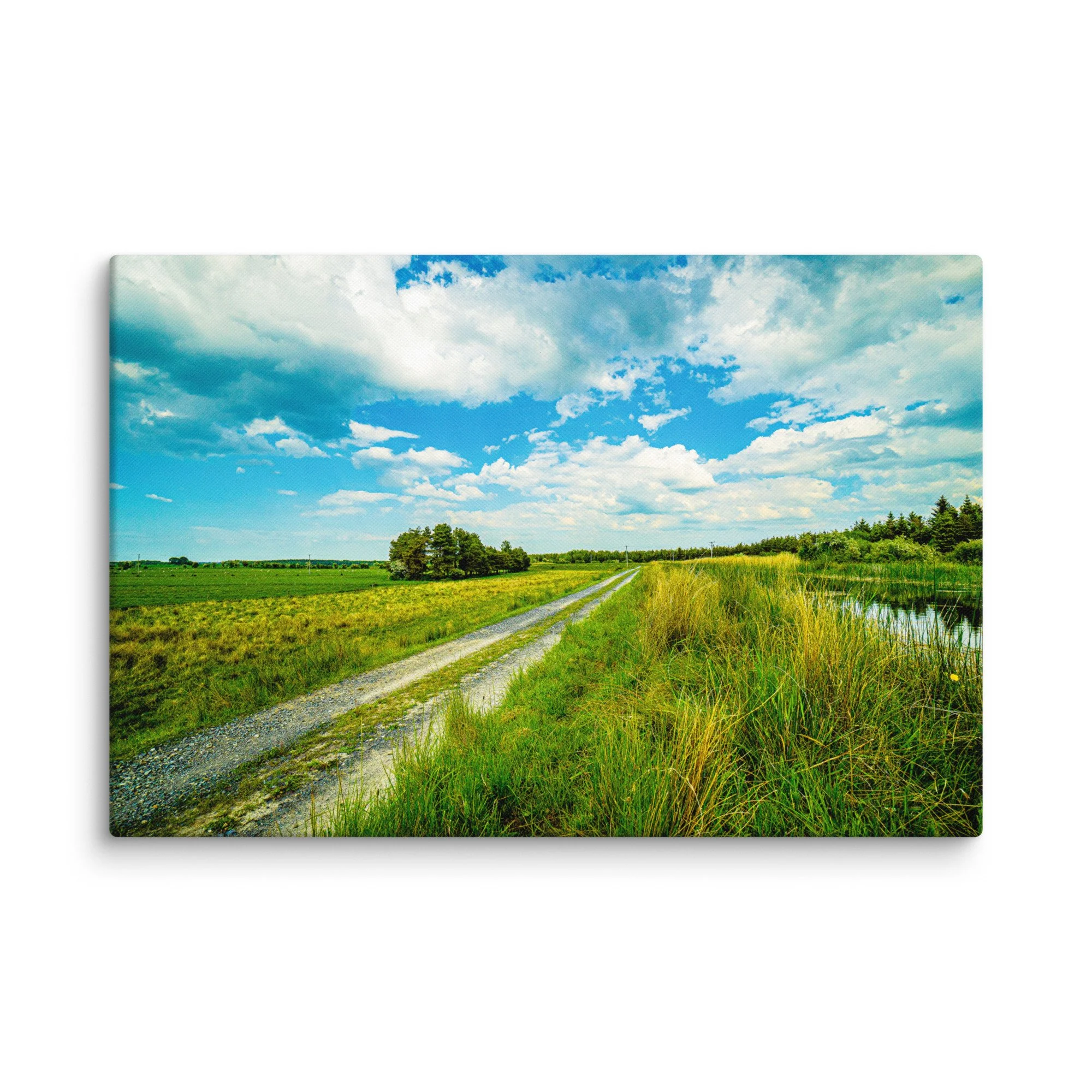 Quiet gravel country lane winding through lush green Irish meadows and tall reeds under dramatic sky with distant hills – Celtic rural travel photography canvas print wall art decor