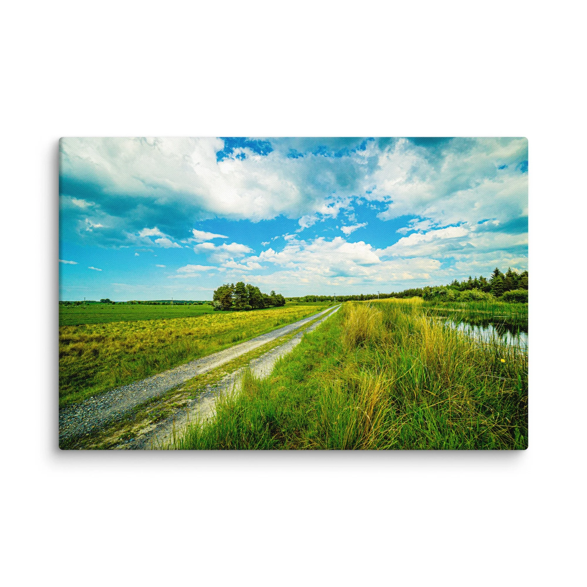 Quiet gravel country lane winding through lush green Irish meadows and tall reeds under dramatic sky with distant hills – Celtic rural travel photography canvas print wall art decor