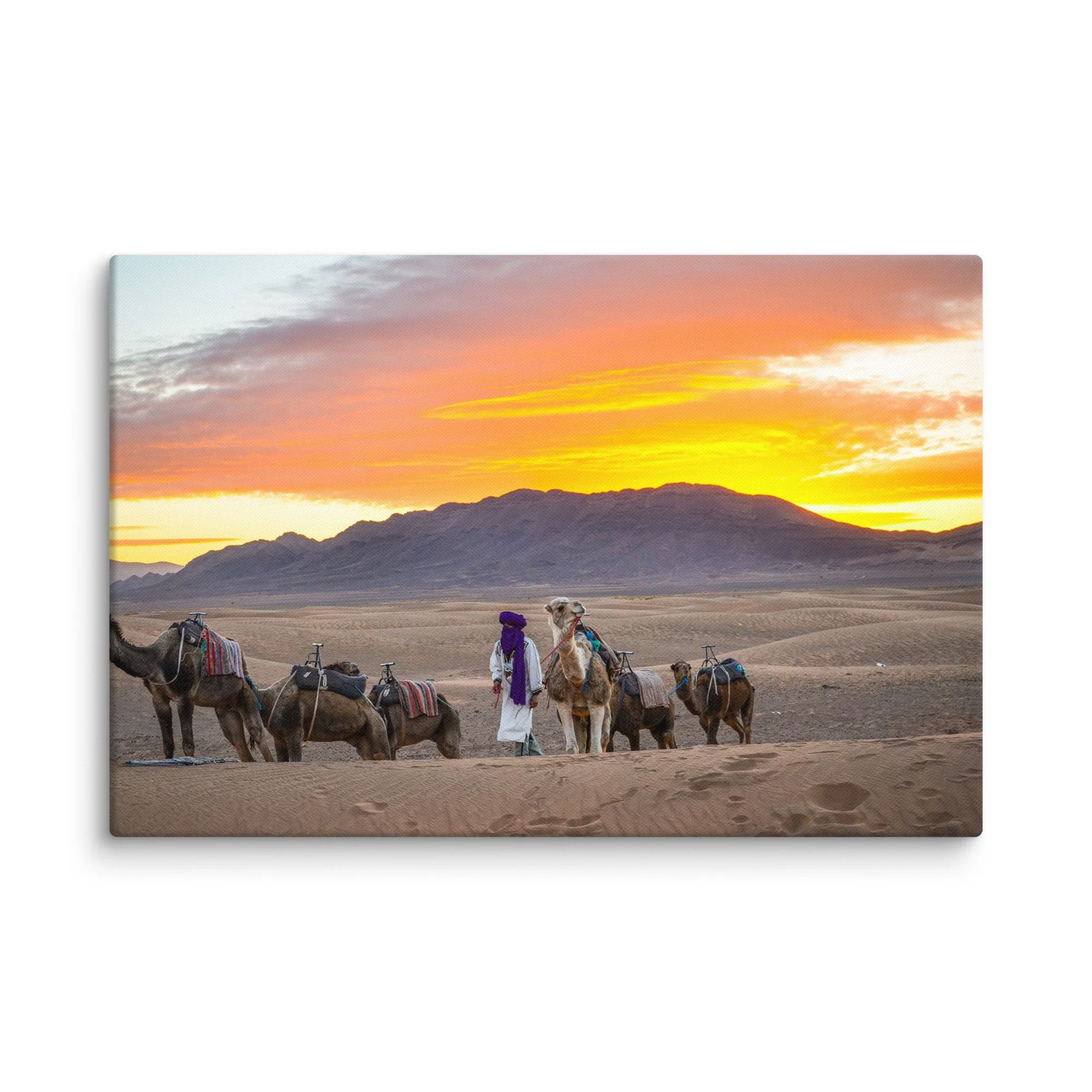 Berber guide in purple robes leading saddled camels across golden Sahara dunes at dramatic sunset, Erg Chebbi, Morocco – desert travel photography canvas print wall art decor
