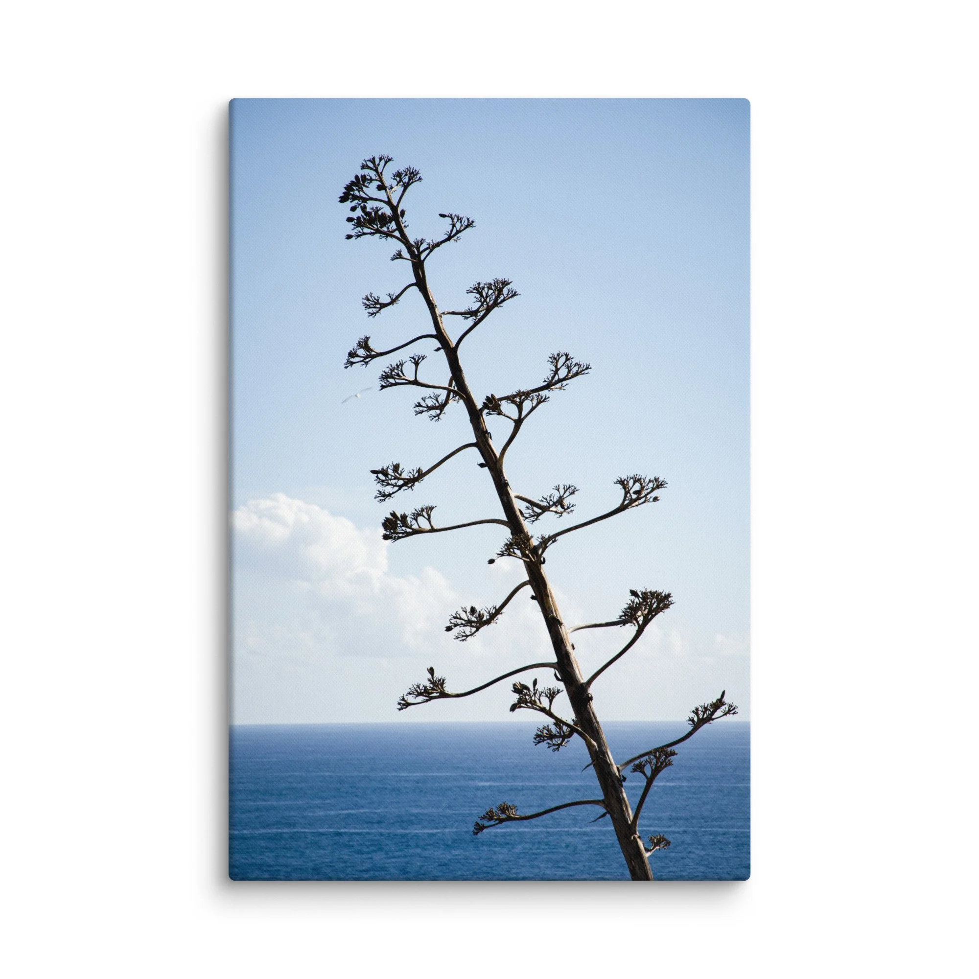 Tall agave plant silhouetted against endless blue Atlantic Ocean and rugged cliffs, Portugal – minimalist coastal travel photography canvas print wall art decor