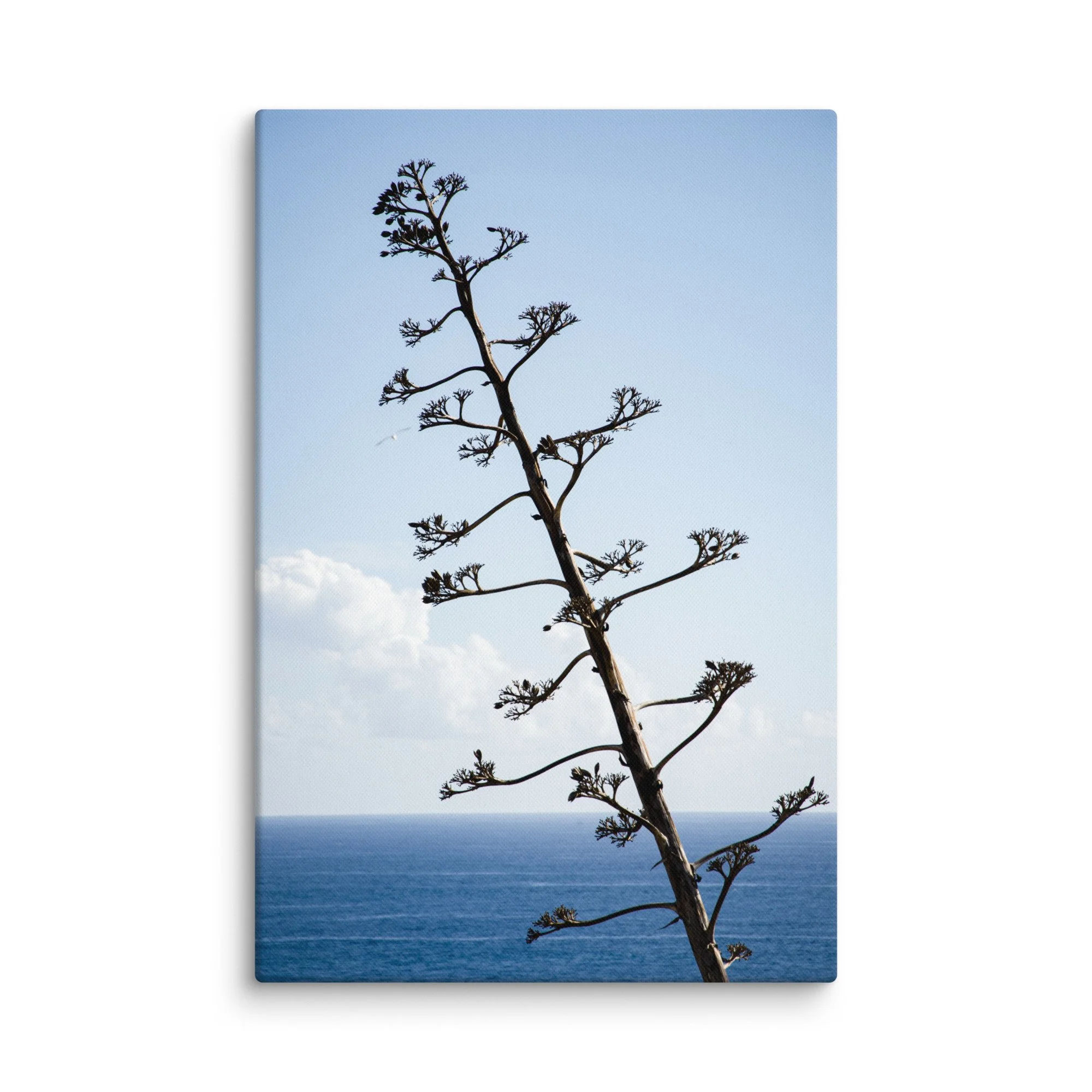 Tall agave plant silhouetted against endless blue Atlantic Ocean and rugged cliffs, Portugal – minimalist coastal travel photography canvas print wall art decor