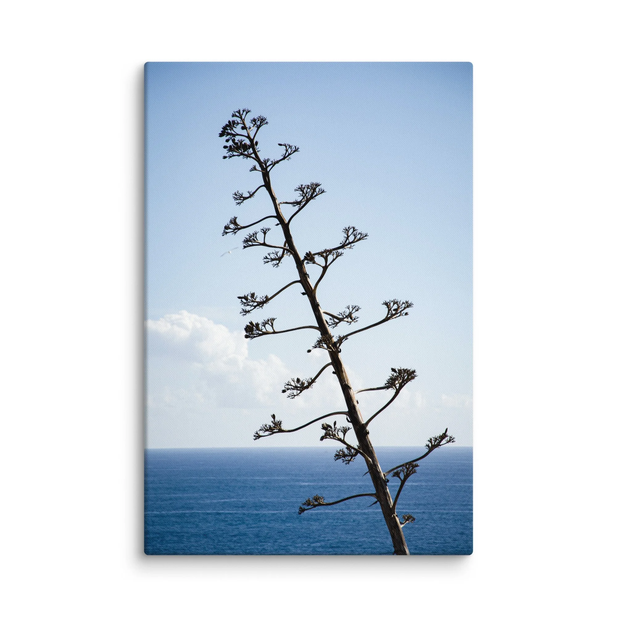 Tall agave plant silhouetted against endless blue Atlantic Ocean and rugged cliffs, Portugal – minimalist coastal travel photography canvas print wall art decor
